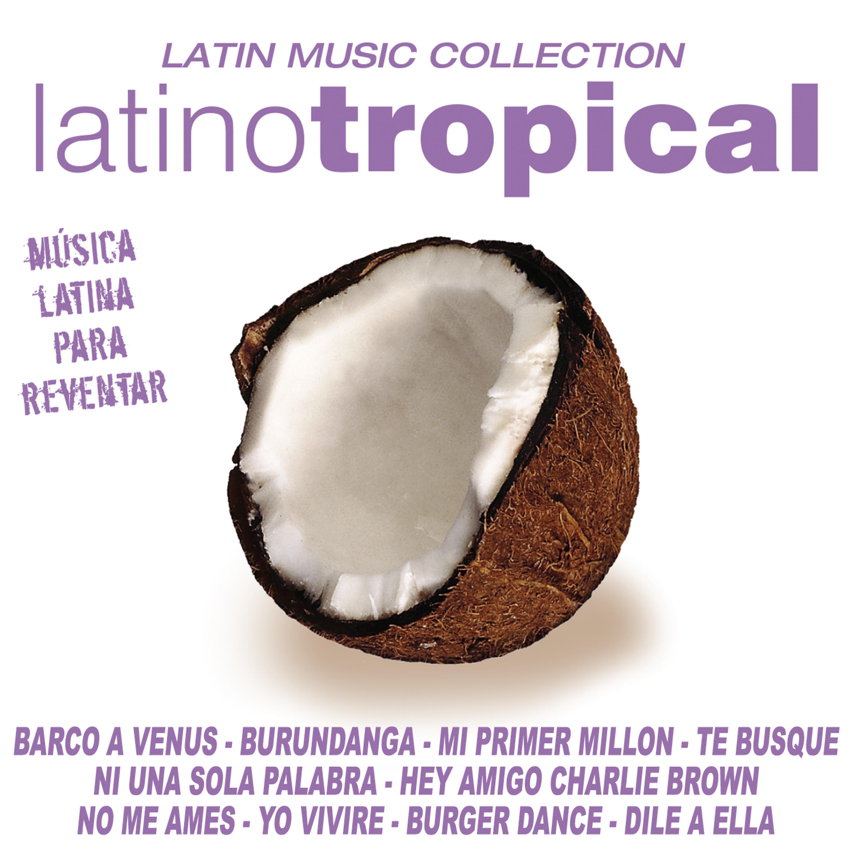 Постер альбома Latino Tropical