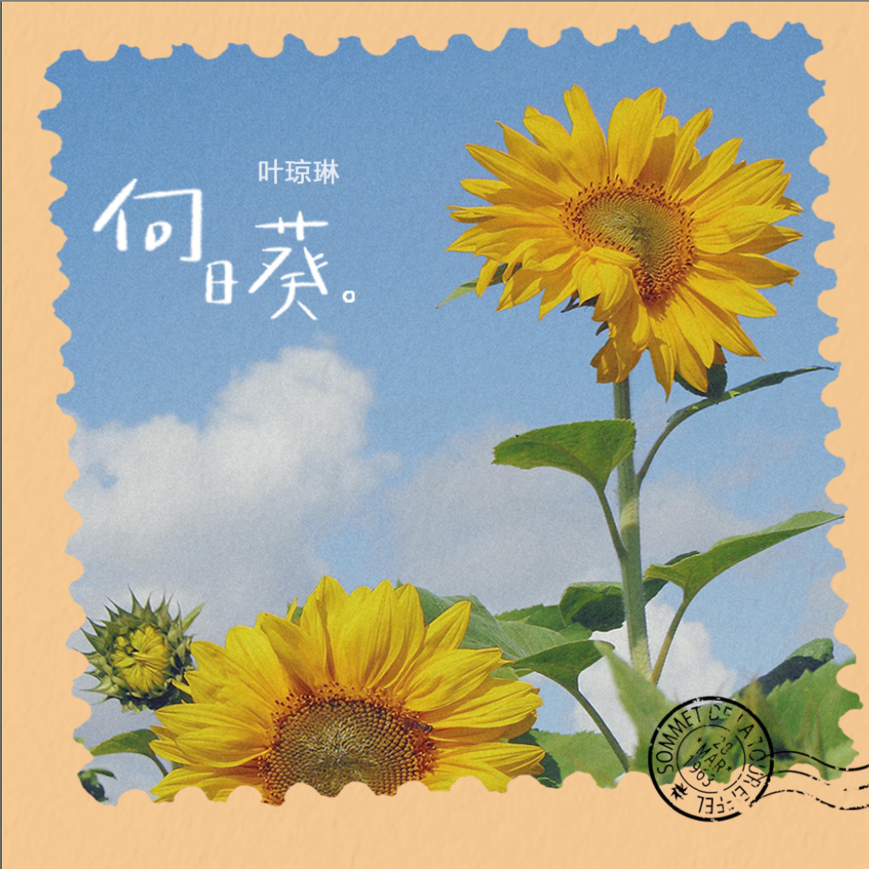 Постер альбома 向日葵