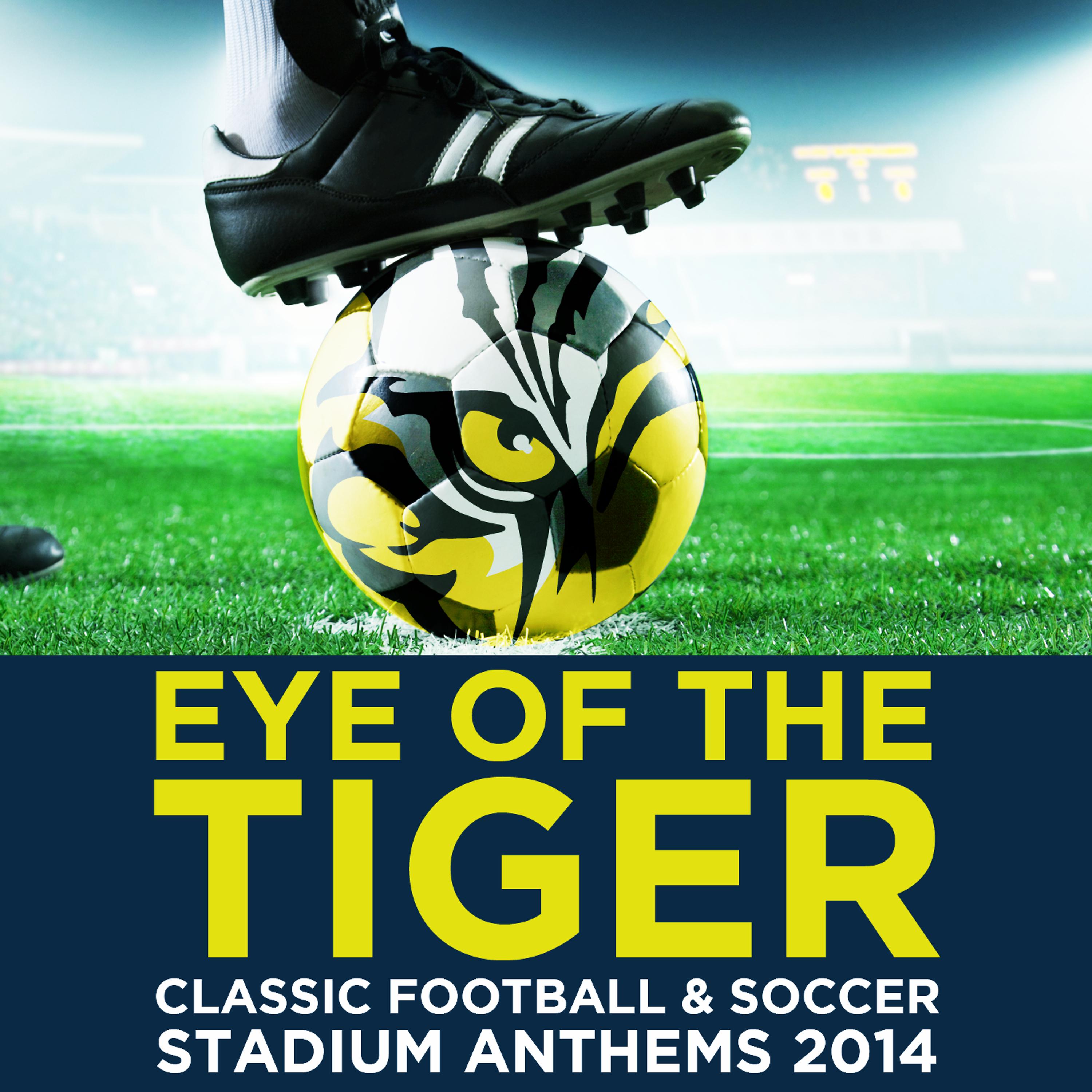 Постер альбома Eye of the Tiger: Classic Football & Soccer Stadium Anthems 2014