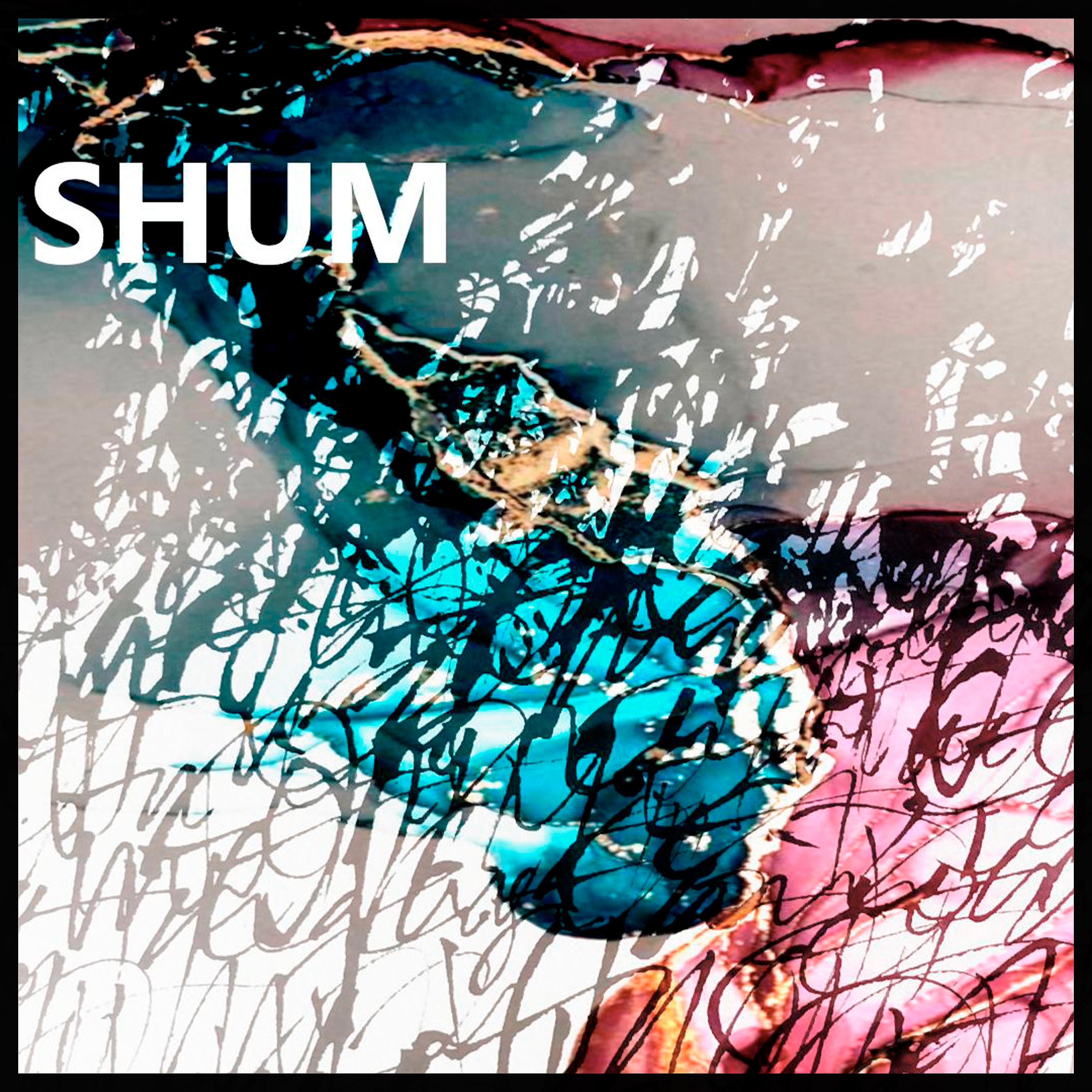 Постер альбома Шум