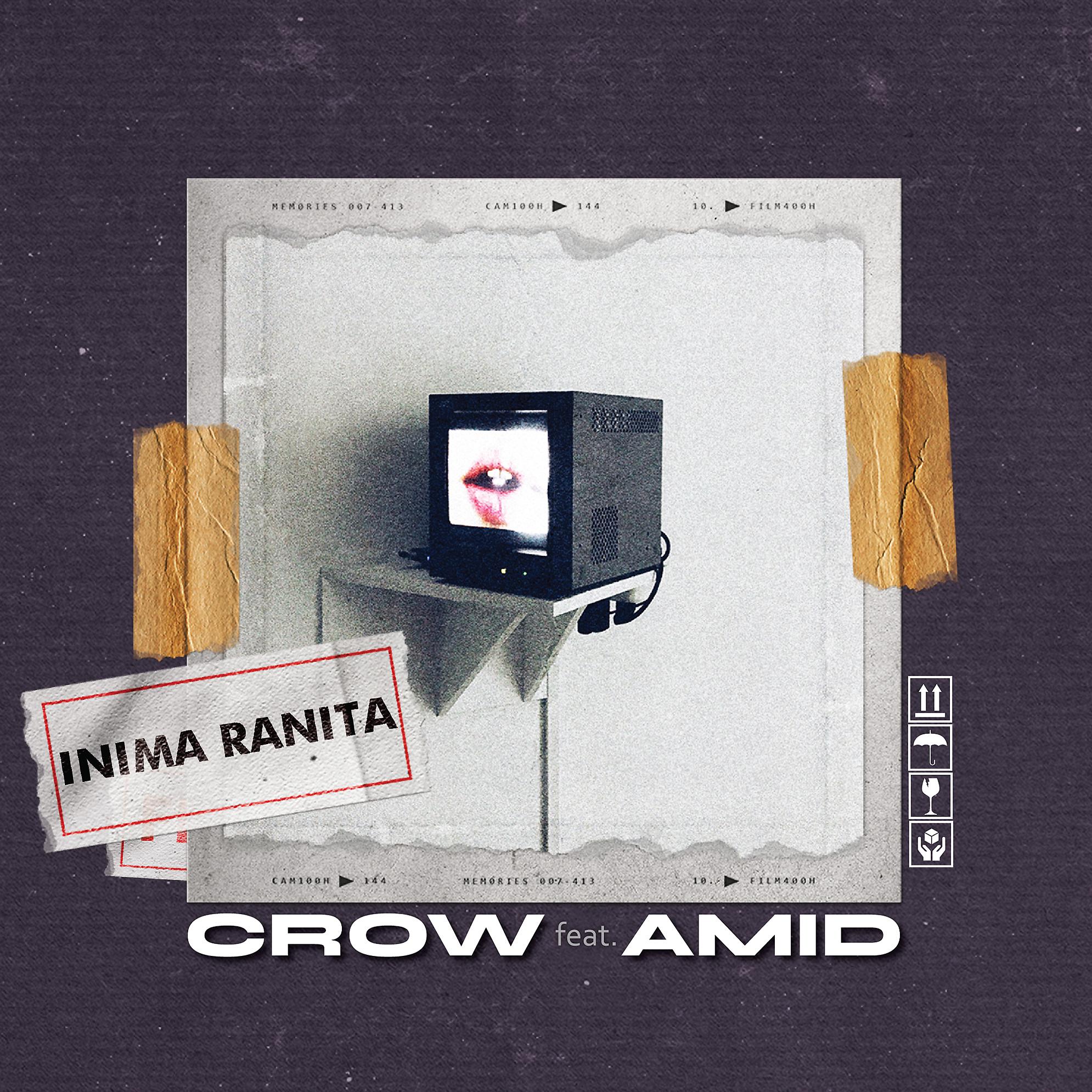 Постер альбома Inima Ranita
