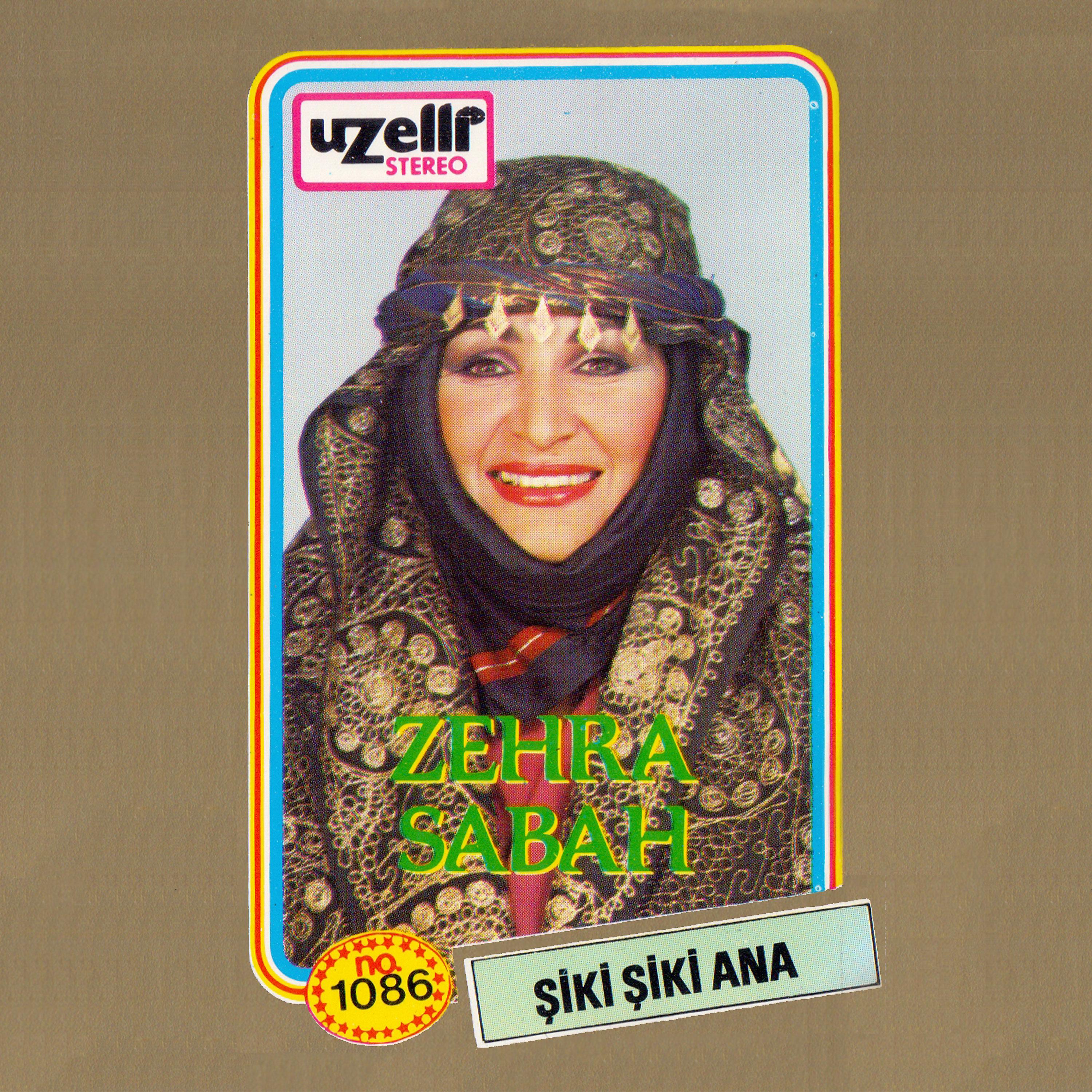 Постер альбома Şiki Şiki Ana