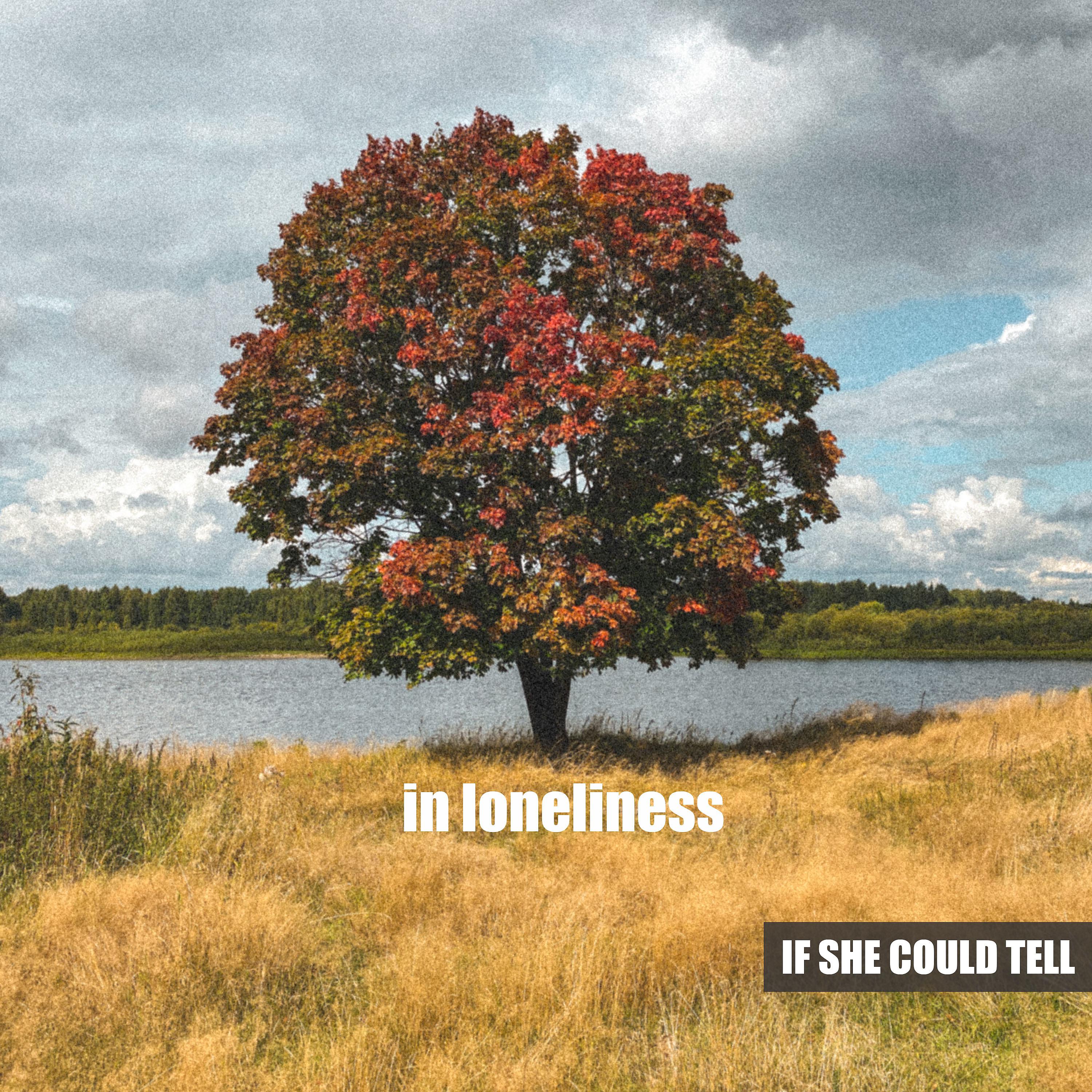 Постер альбома In Loneliness