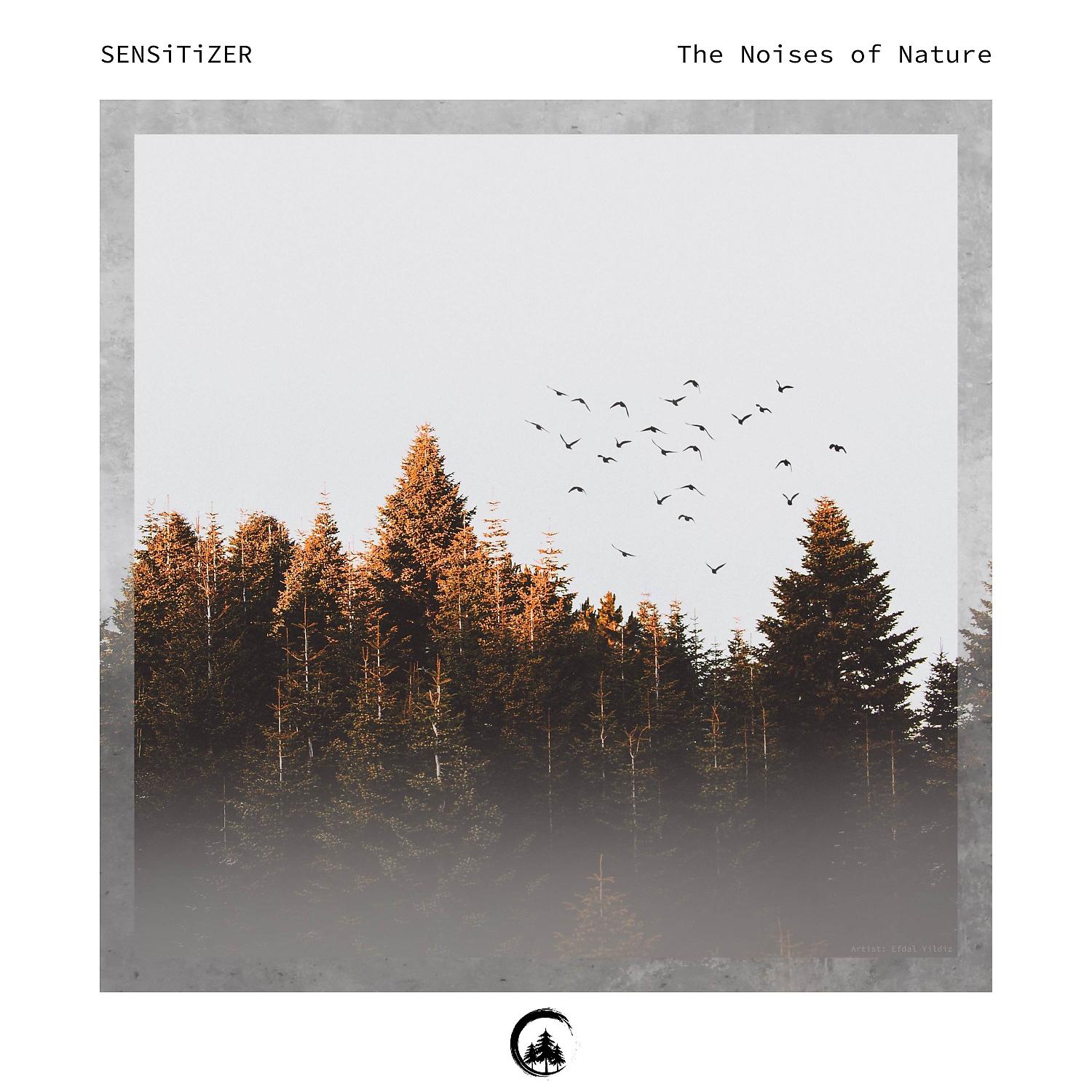 Постер альбома The Noises of Nature