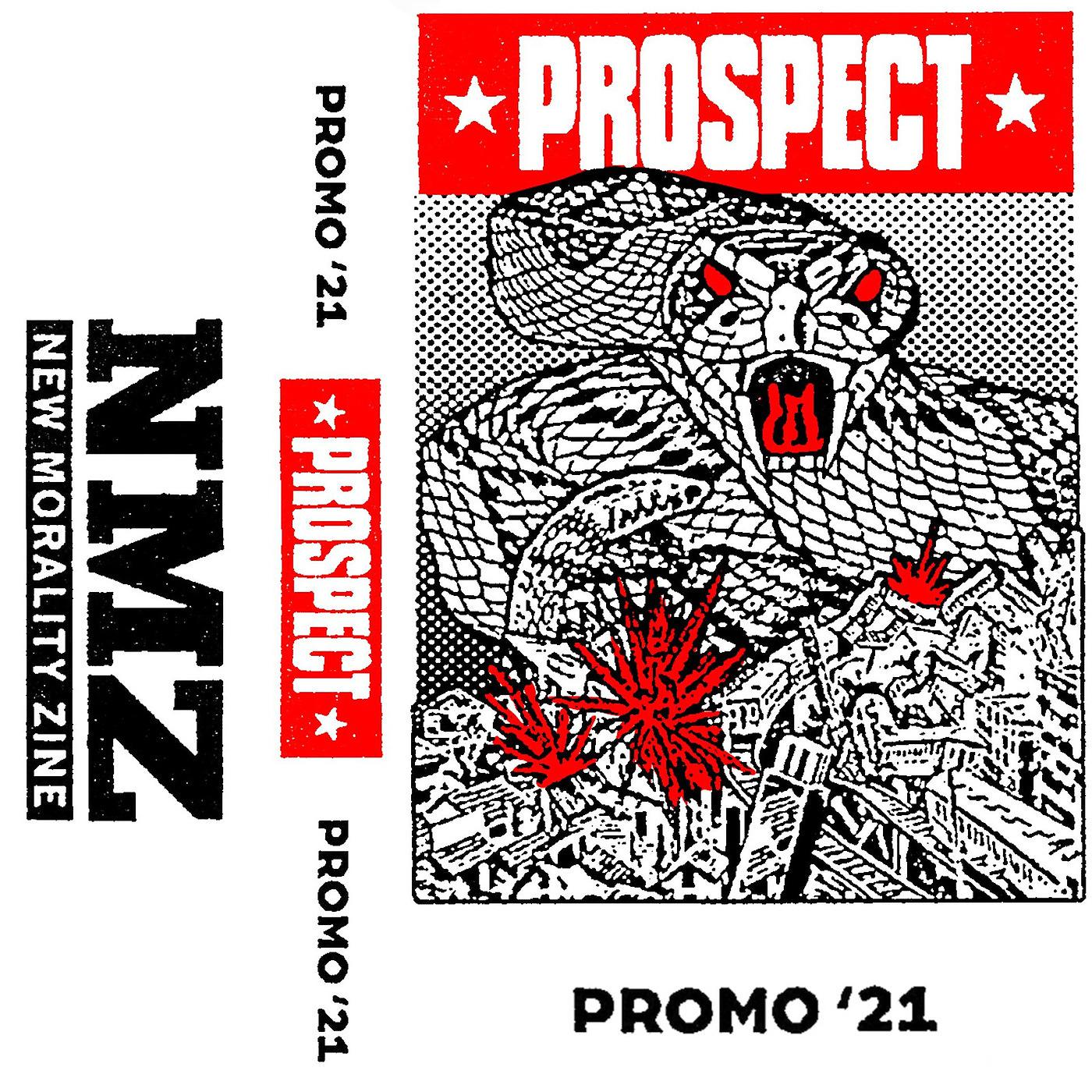 Постер альбома Promo '21