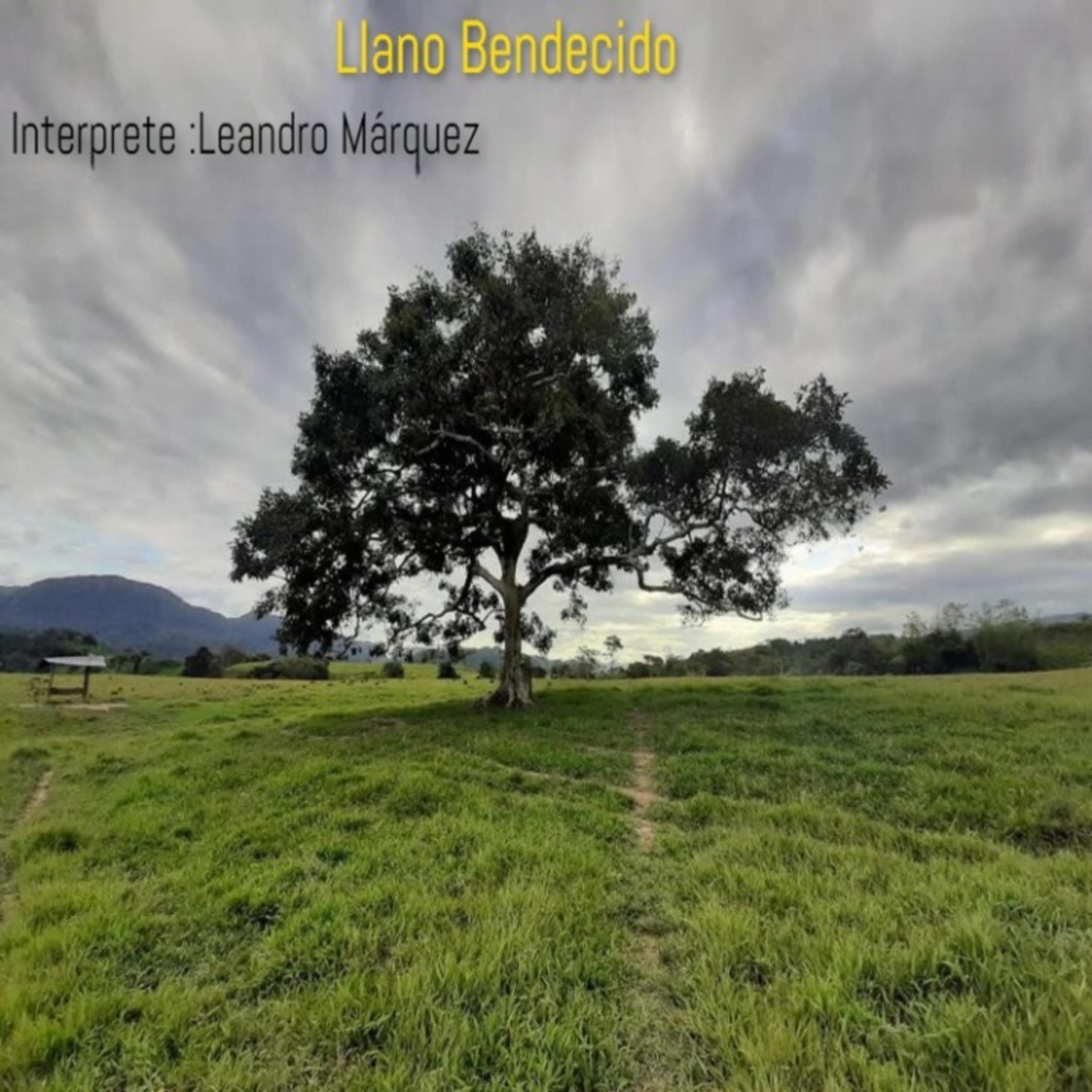 Постер альбома Llano Bendecido