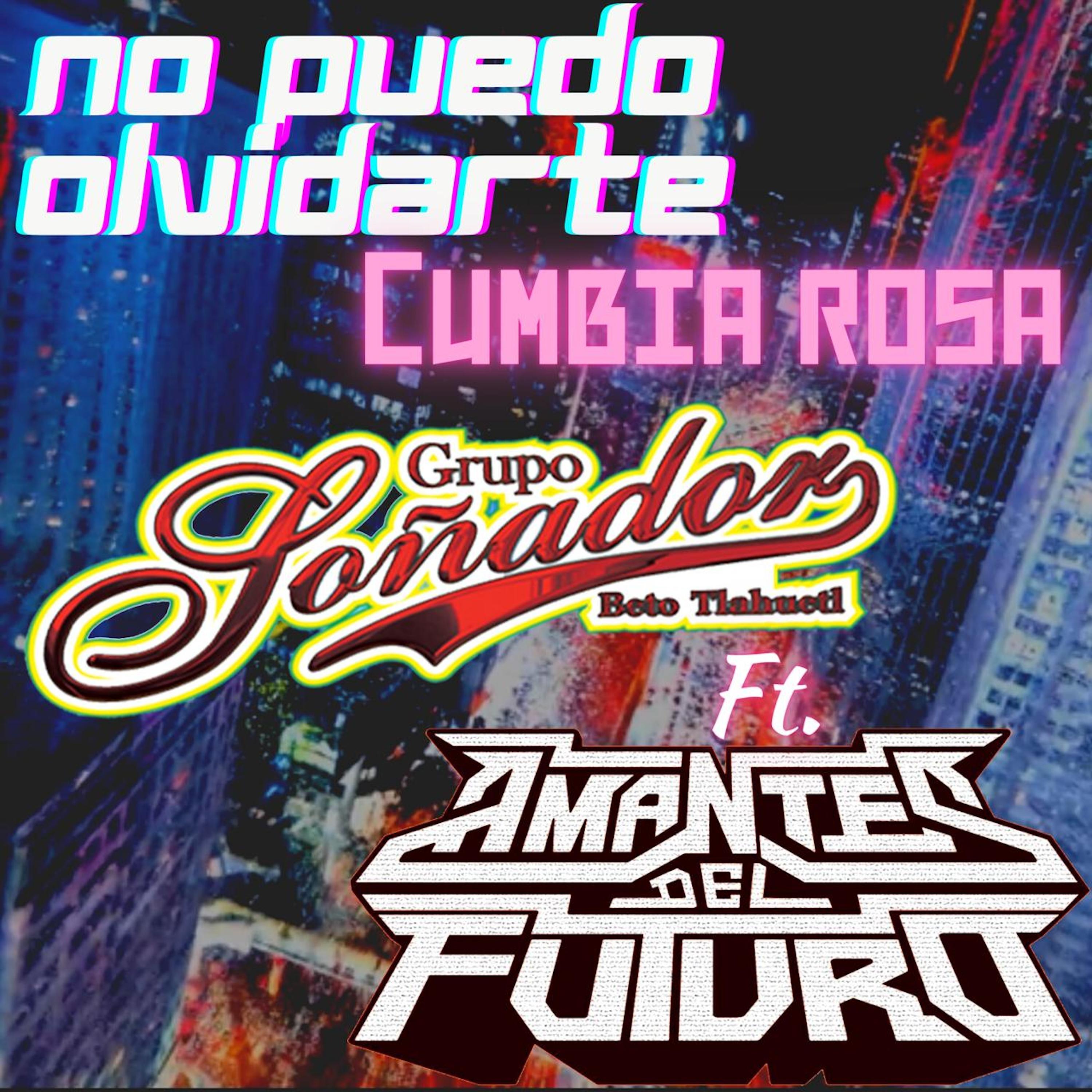 Постер альбома No Puedo Olvidarte (Cumbia Rosa)