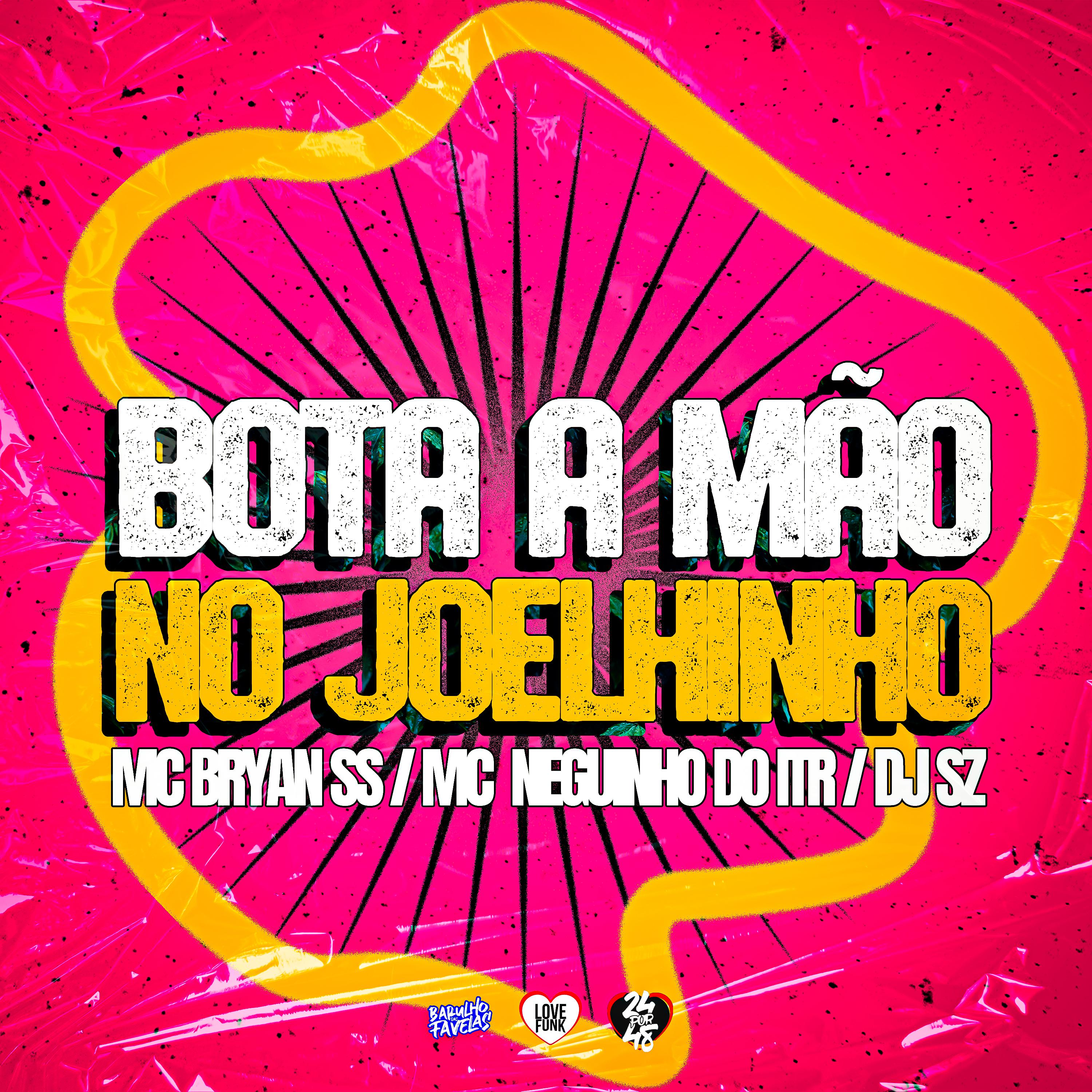 Постер альбома Bota a Mão no Joelhinho