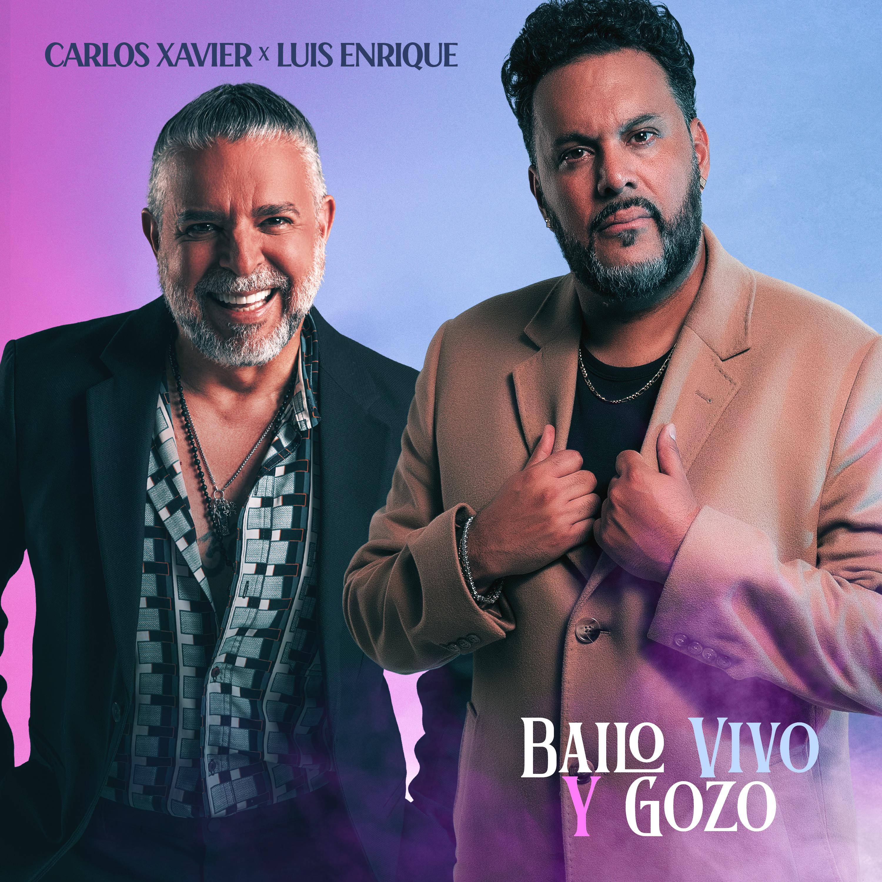 Постер альбома Bailo Vivo y Gozo