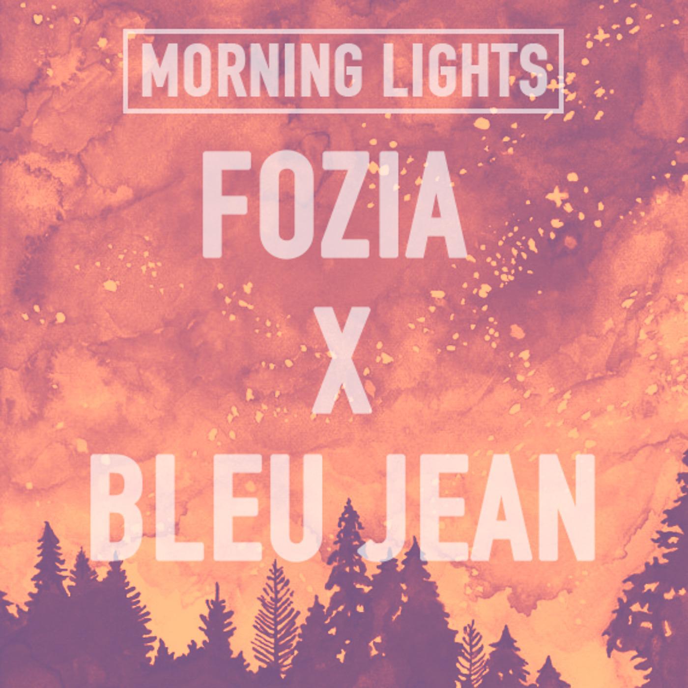Постер альбома Morning Lights (feat. Bleu Jean)
