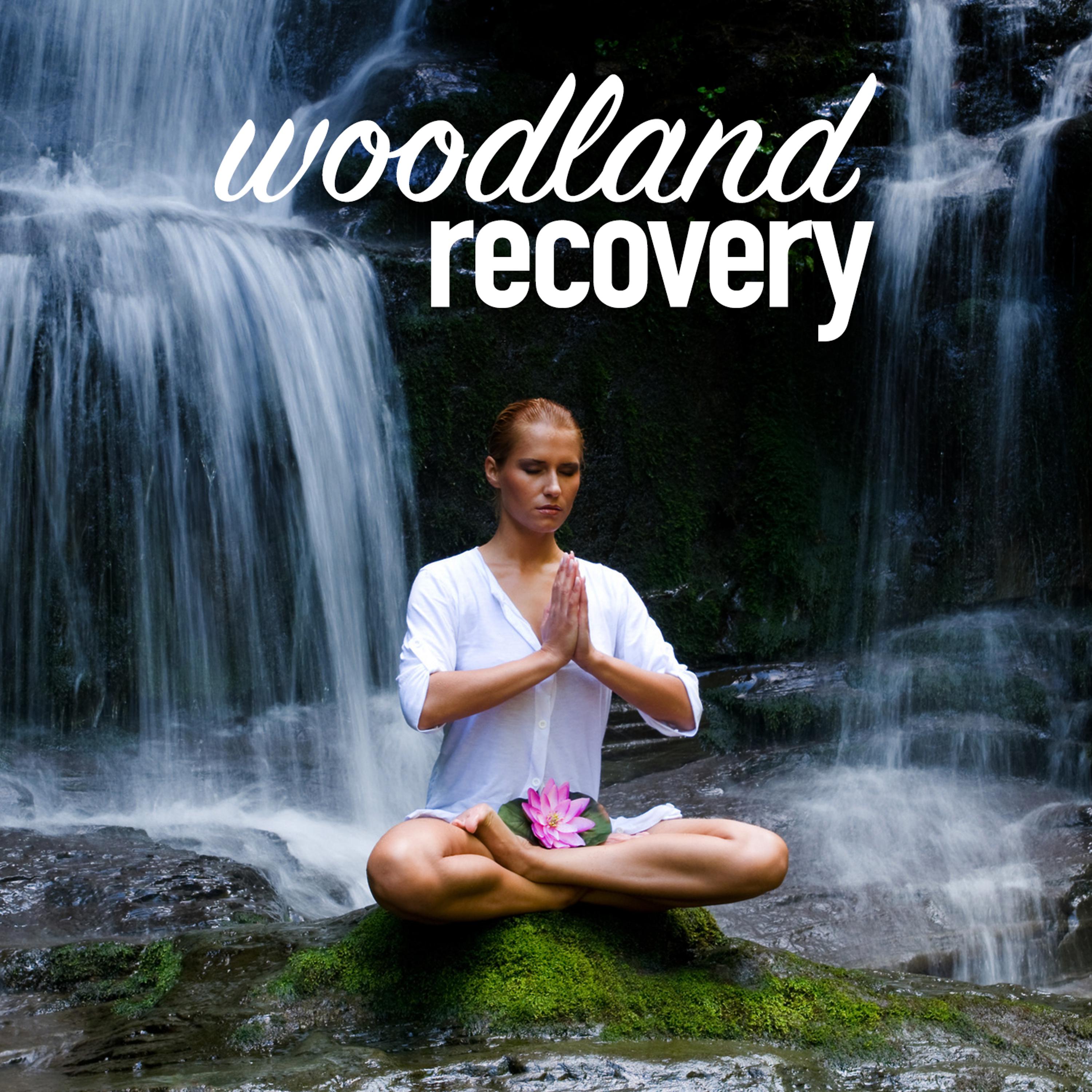 Постер альбома Woodland Recovery