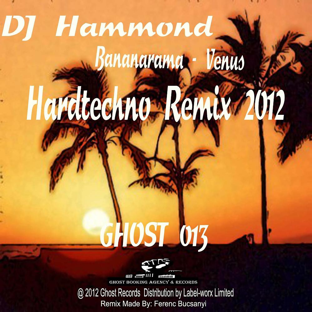 Постер альбома Venus (DJ Hammond Hardtechno Remix 2012)