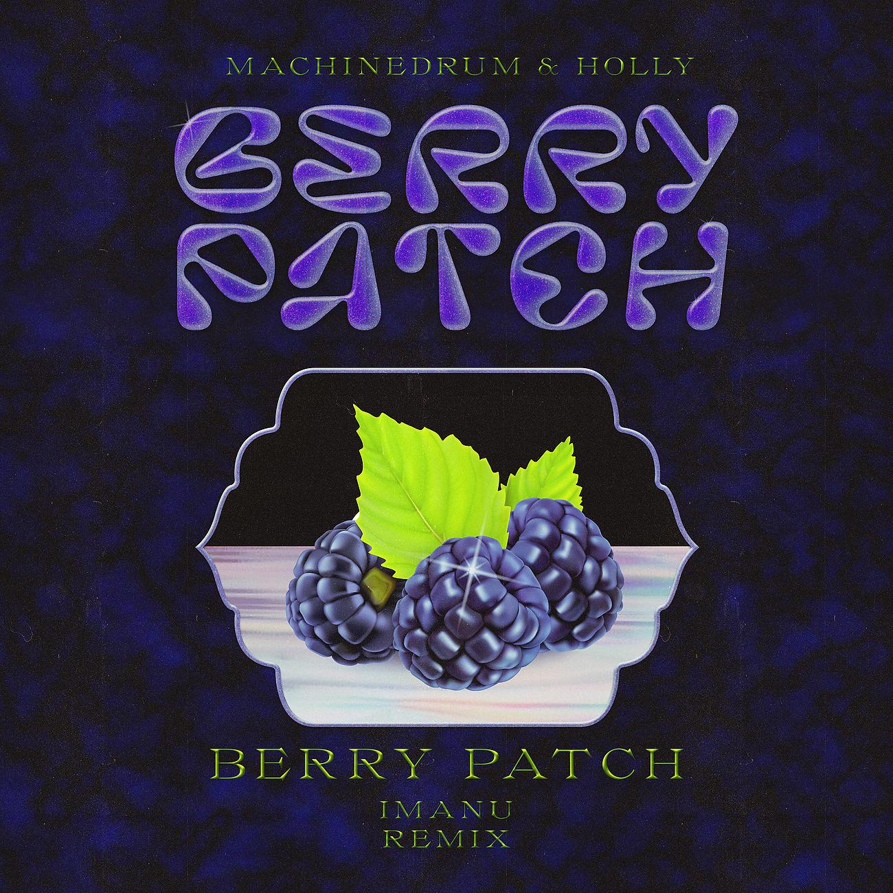 Постер альбома Berry Patch - IMANU Remix