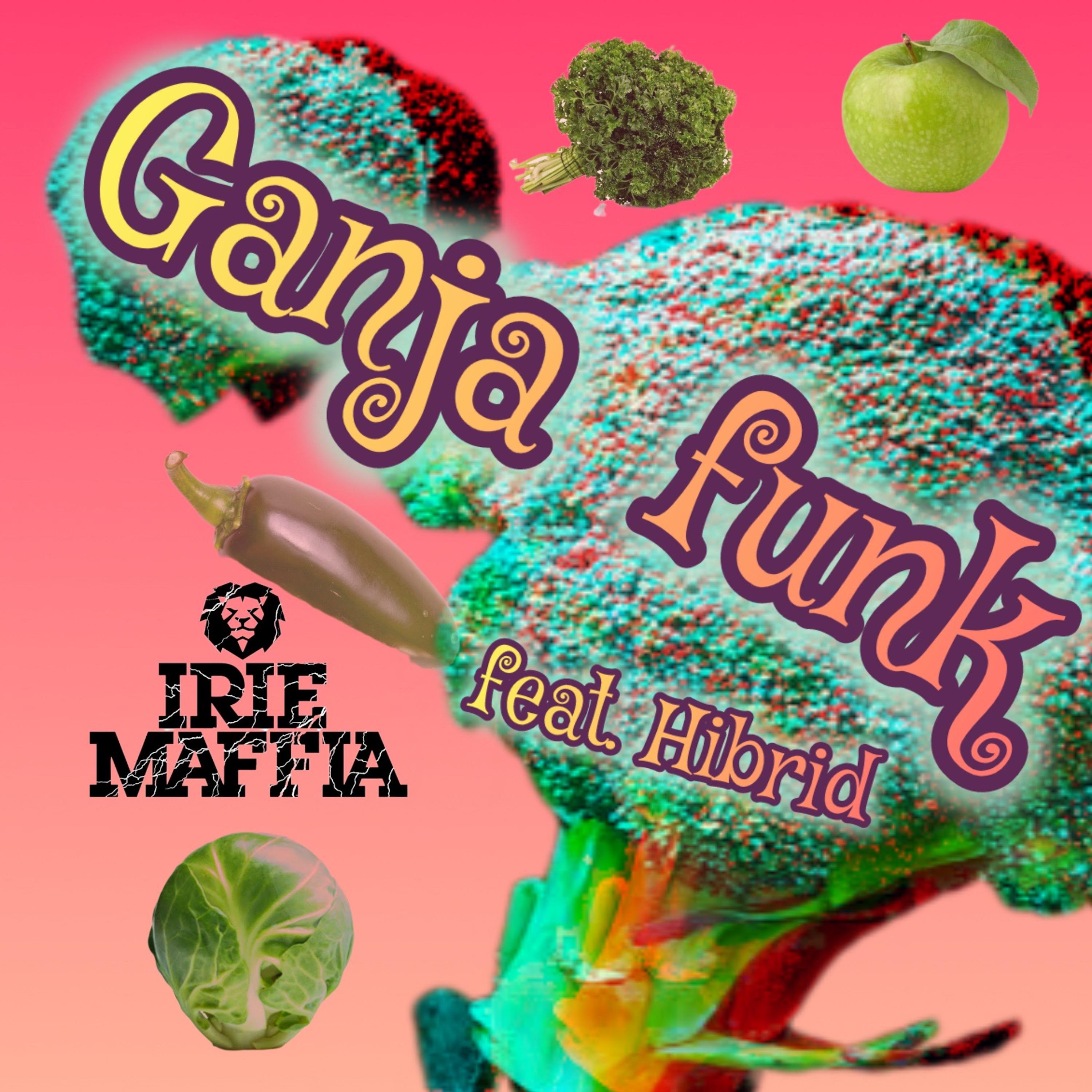 Постер альбома Ganja Funk