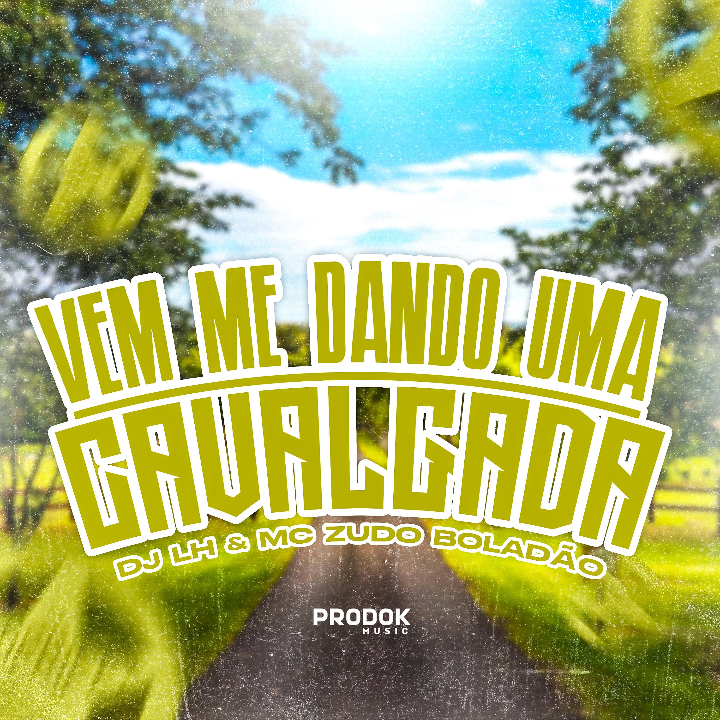 Постер альбома Vem Me Dando uma Cavalgada
