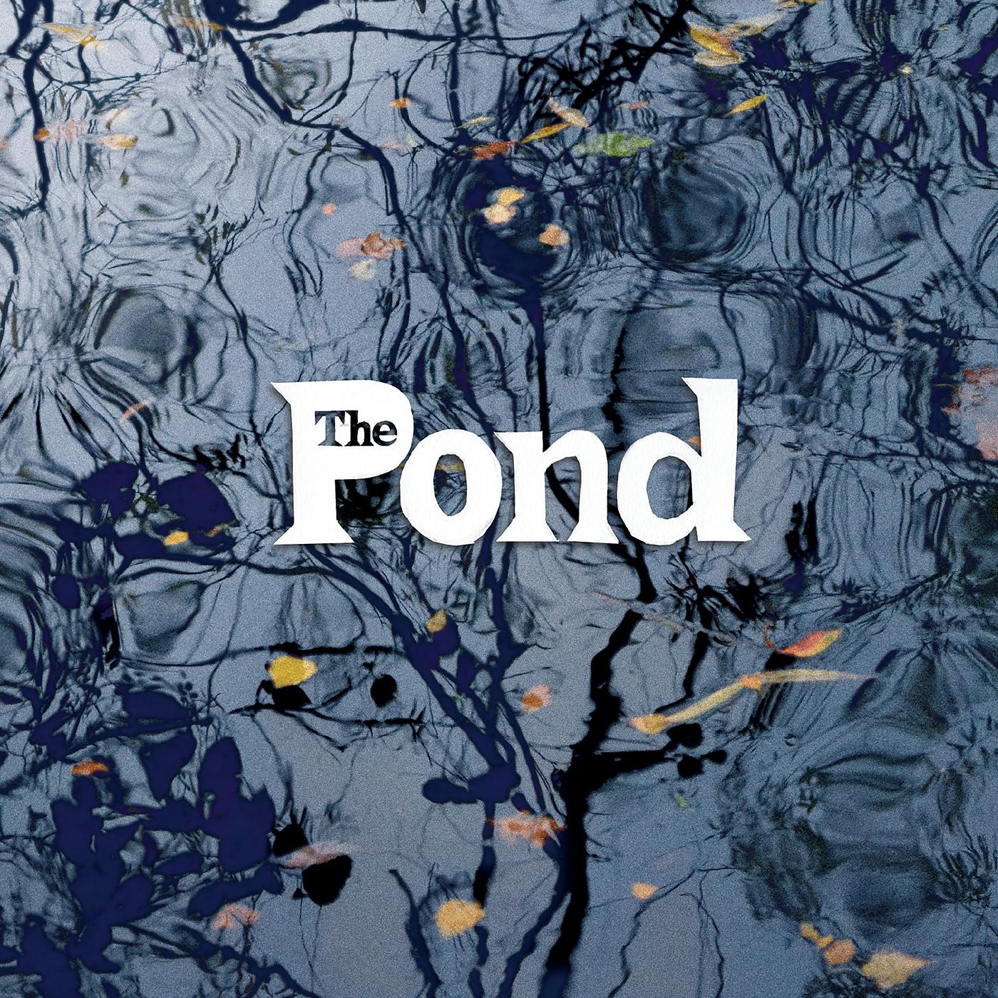 Постер альбома The Pond