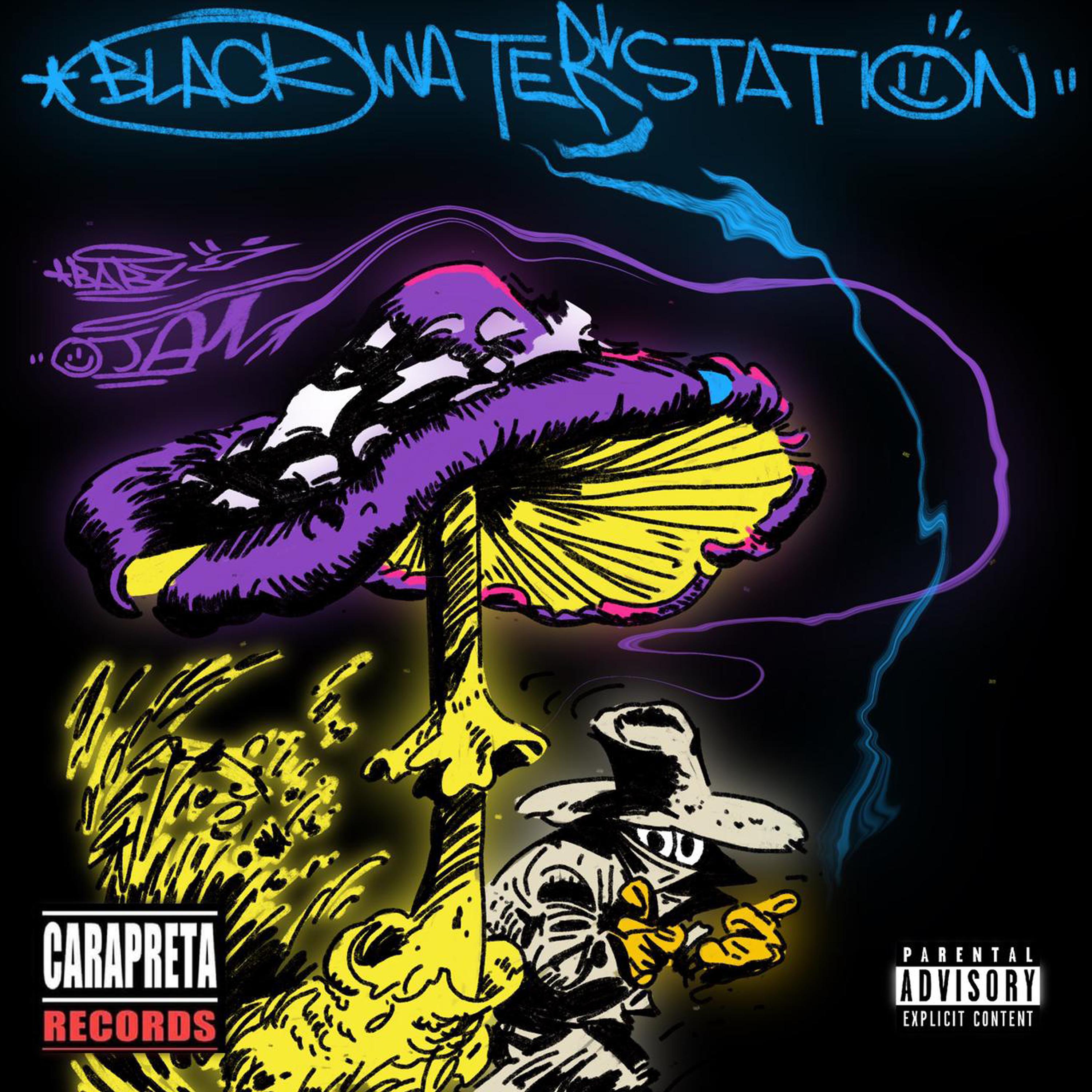 Постер альбома Black Water Station
