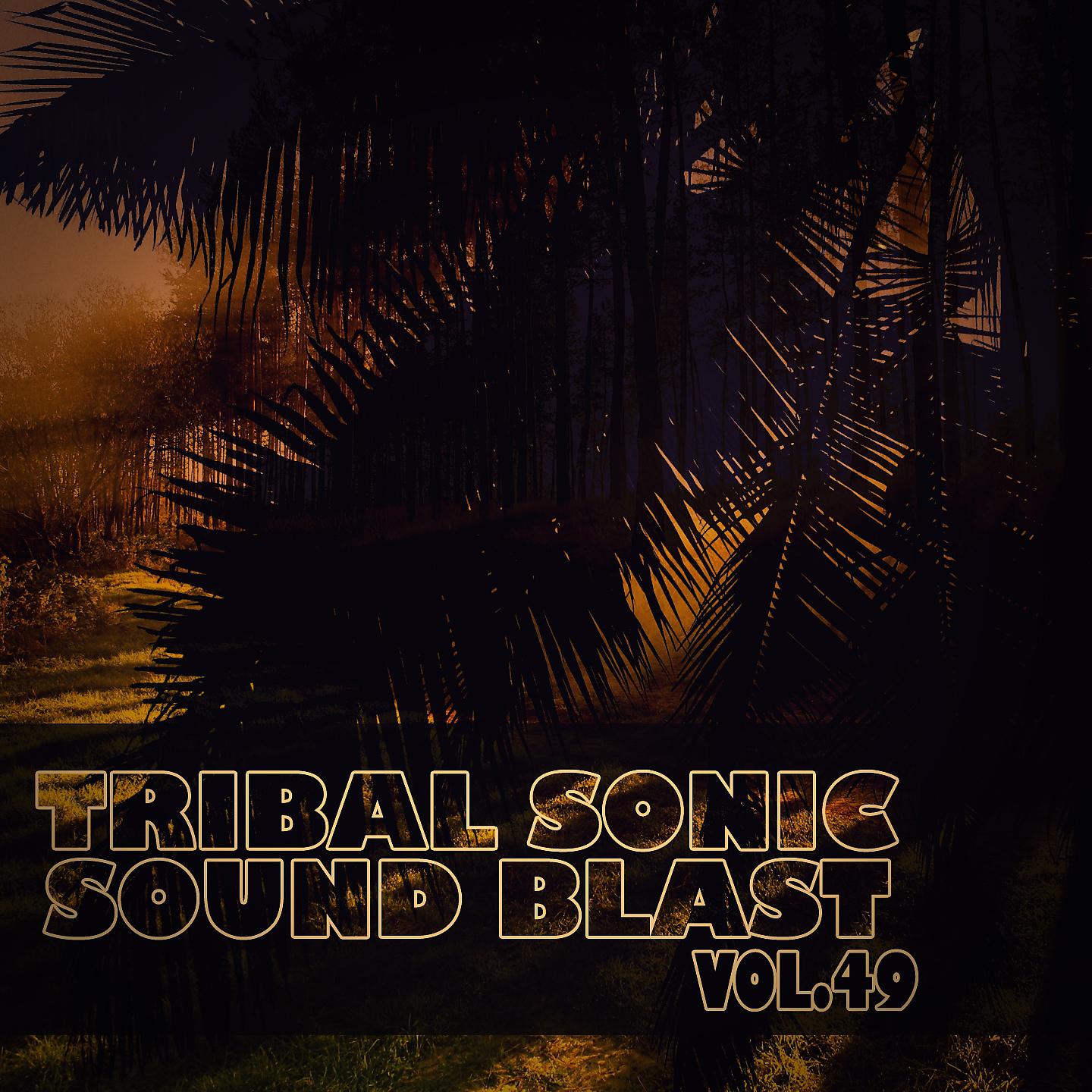 Постер альбома Tribal Sonic Soundblast,Vol.49