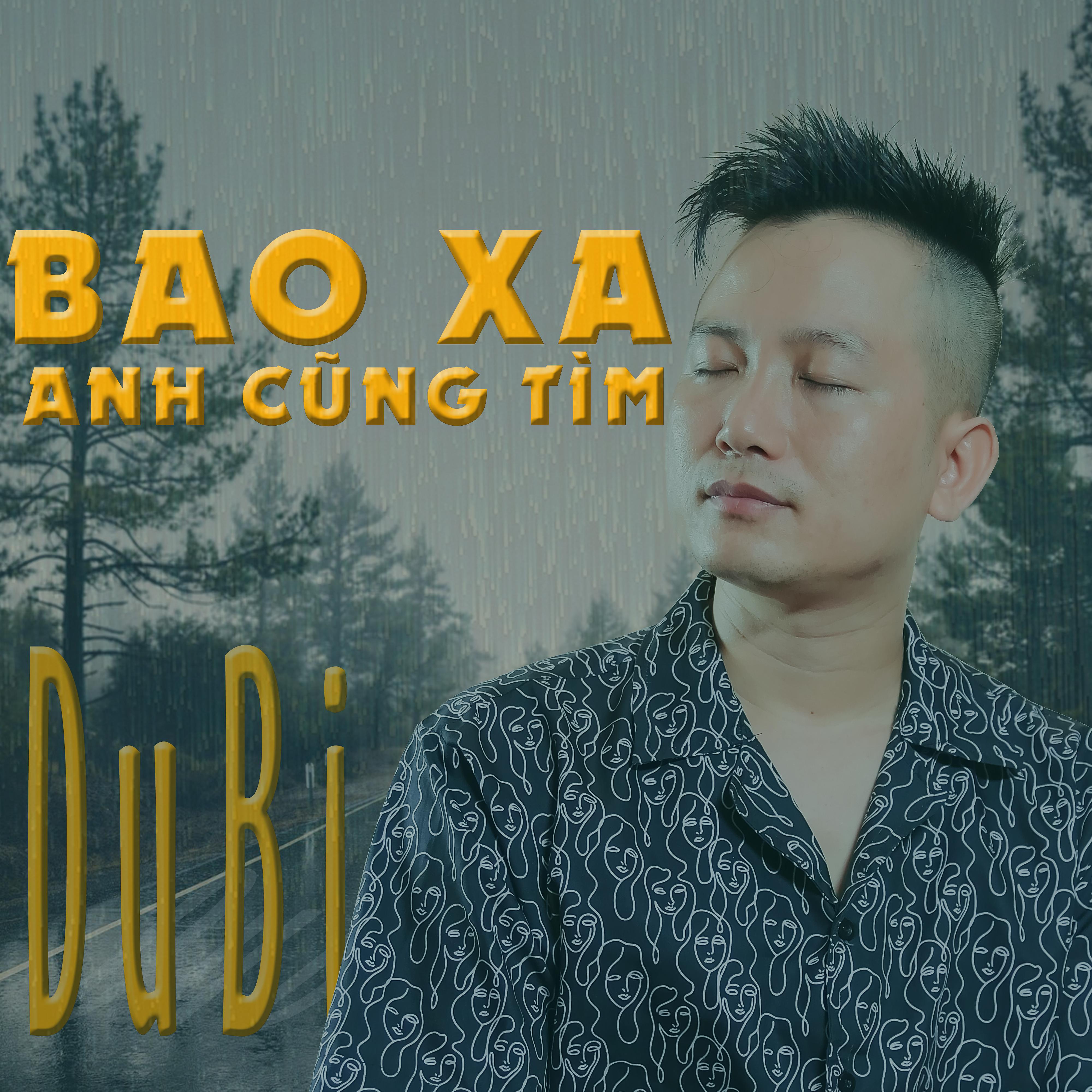 Постер альбома Bao Xa Anh Cũng Tìm