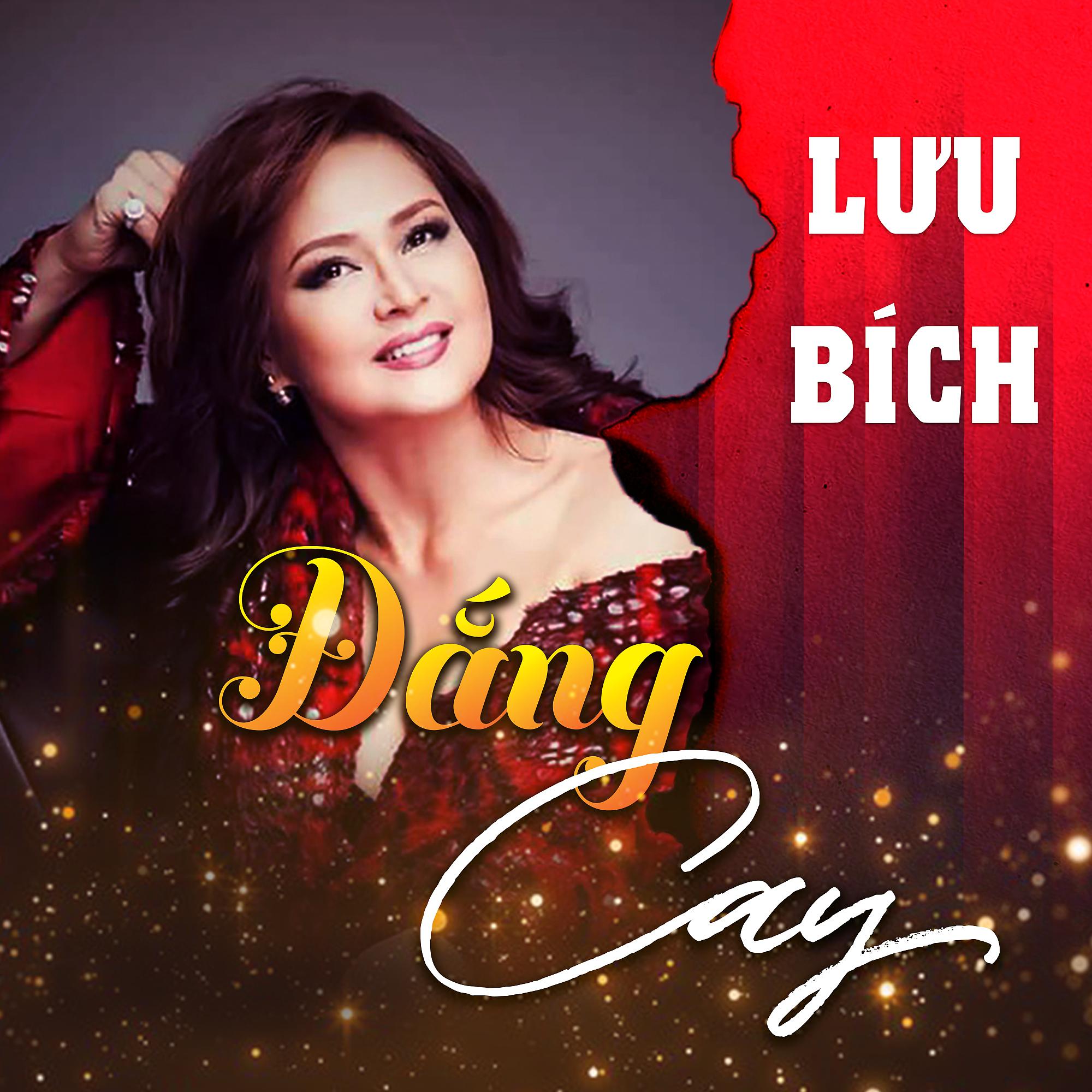 Постер альбома Đắng Cay