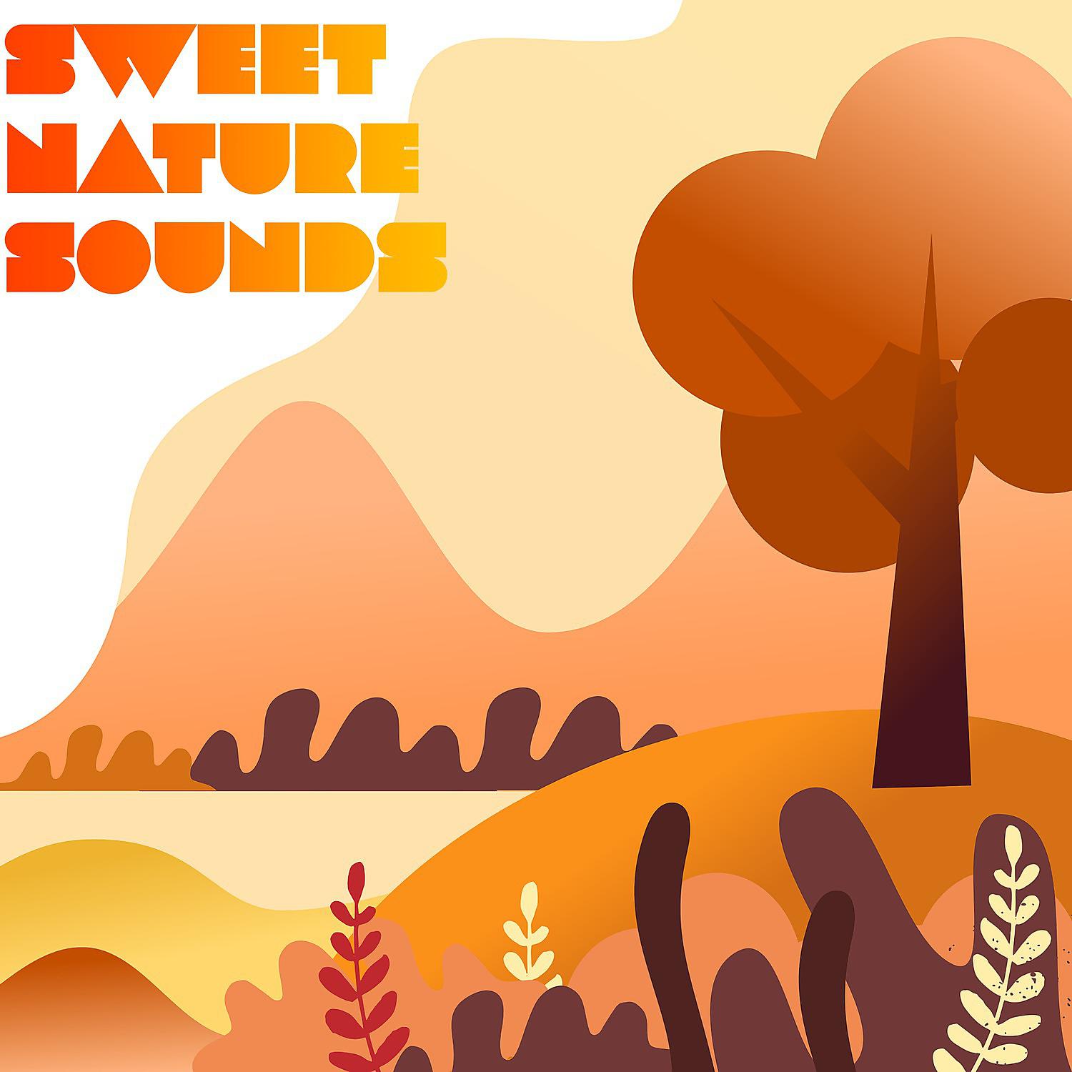 Постер альбома Sweet Nature Sounds