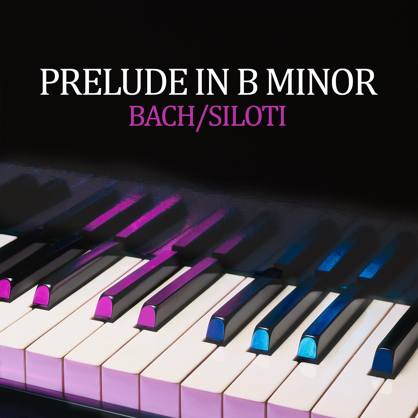 Постер альбома Prelude in B Minor (Transcr. Siloti - Prelude in E Minor BWV 855a)