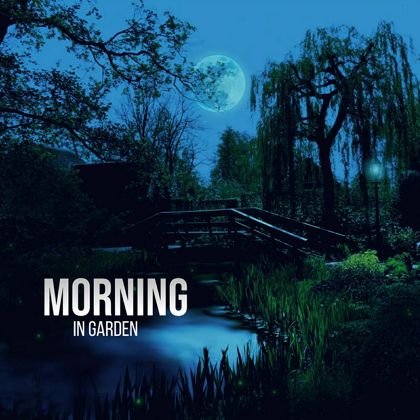 Постер альбома Morning in Garden