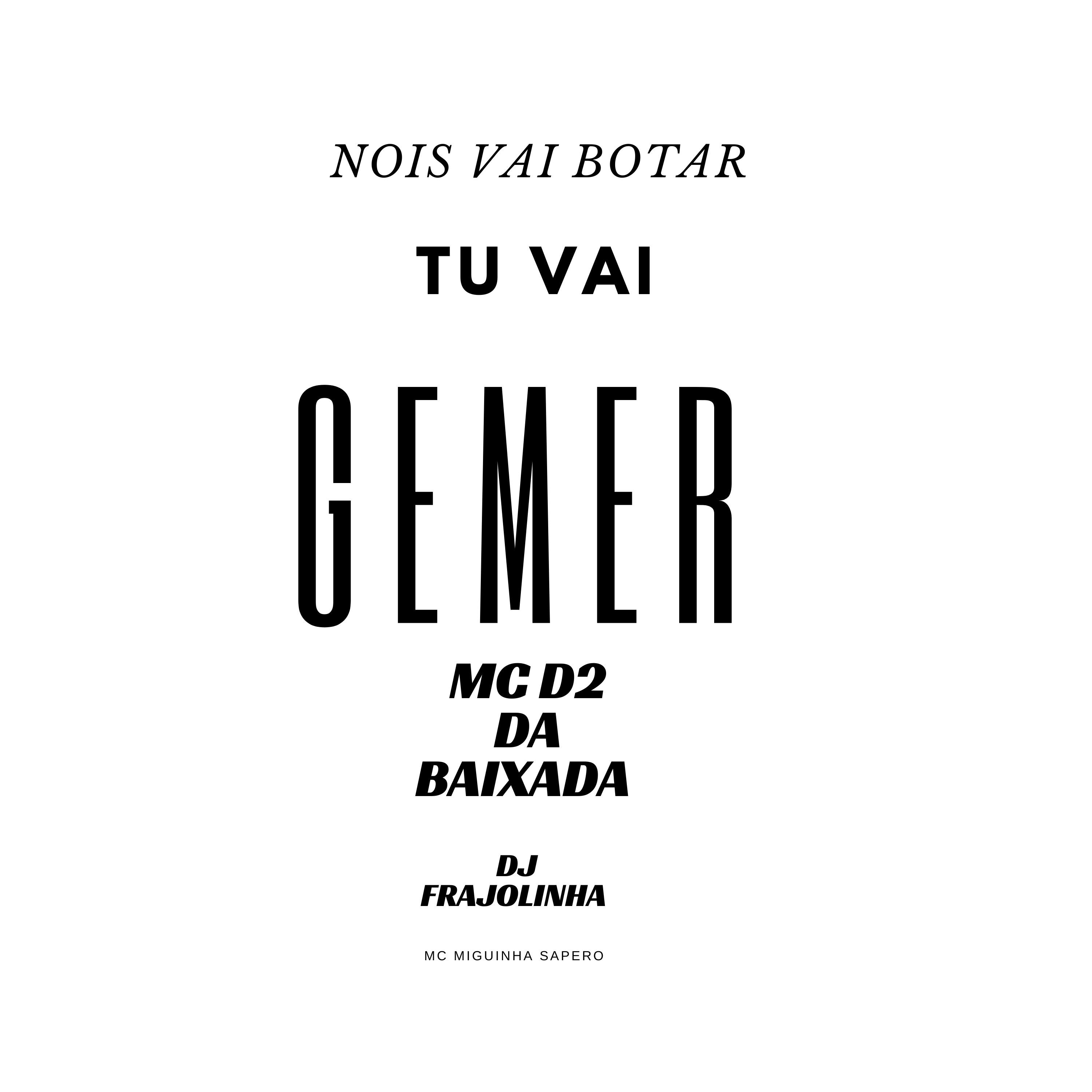 Постер альбома Nois Vai Botar Tu Vai Gemer