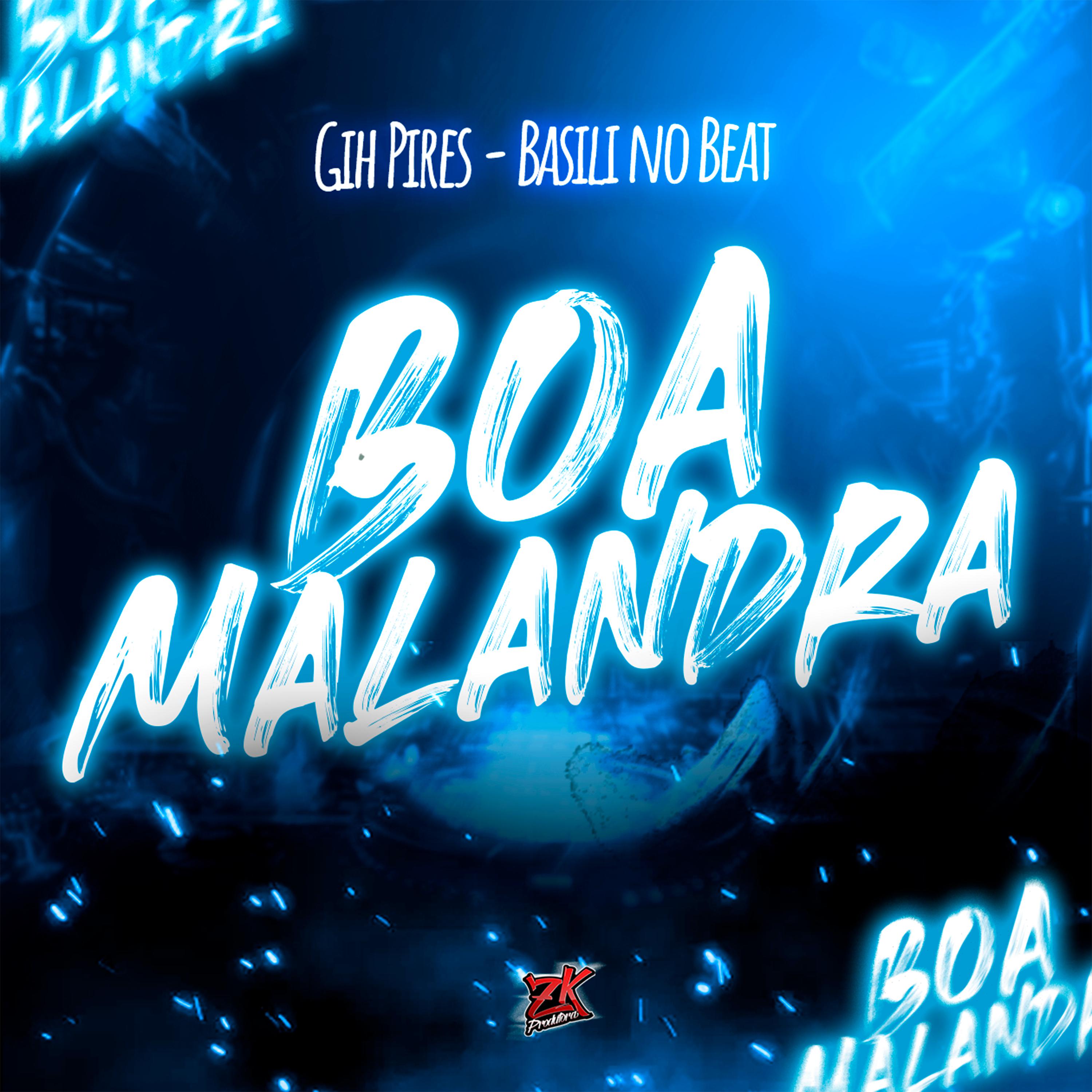 Постер альбома Boa Malandra