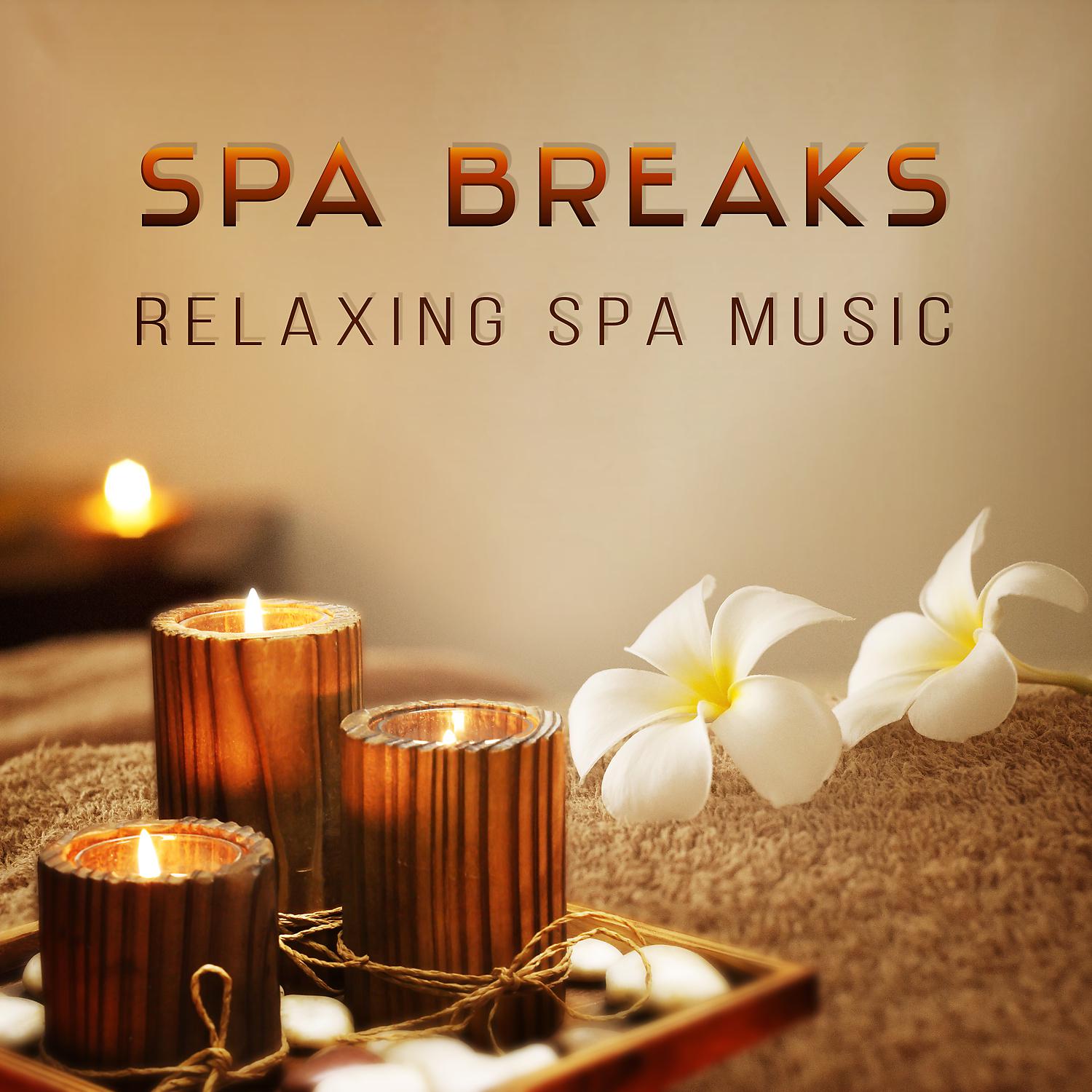 Постер альбома Spa Breaks: Relaxing Spa Music, Pampering with Peaceful Nature Sounds, Healing Zen Tracks, Deep Sleep Therapy, Relaxation Meditation