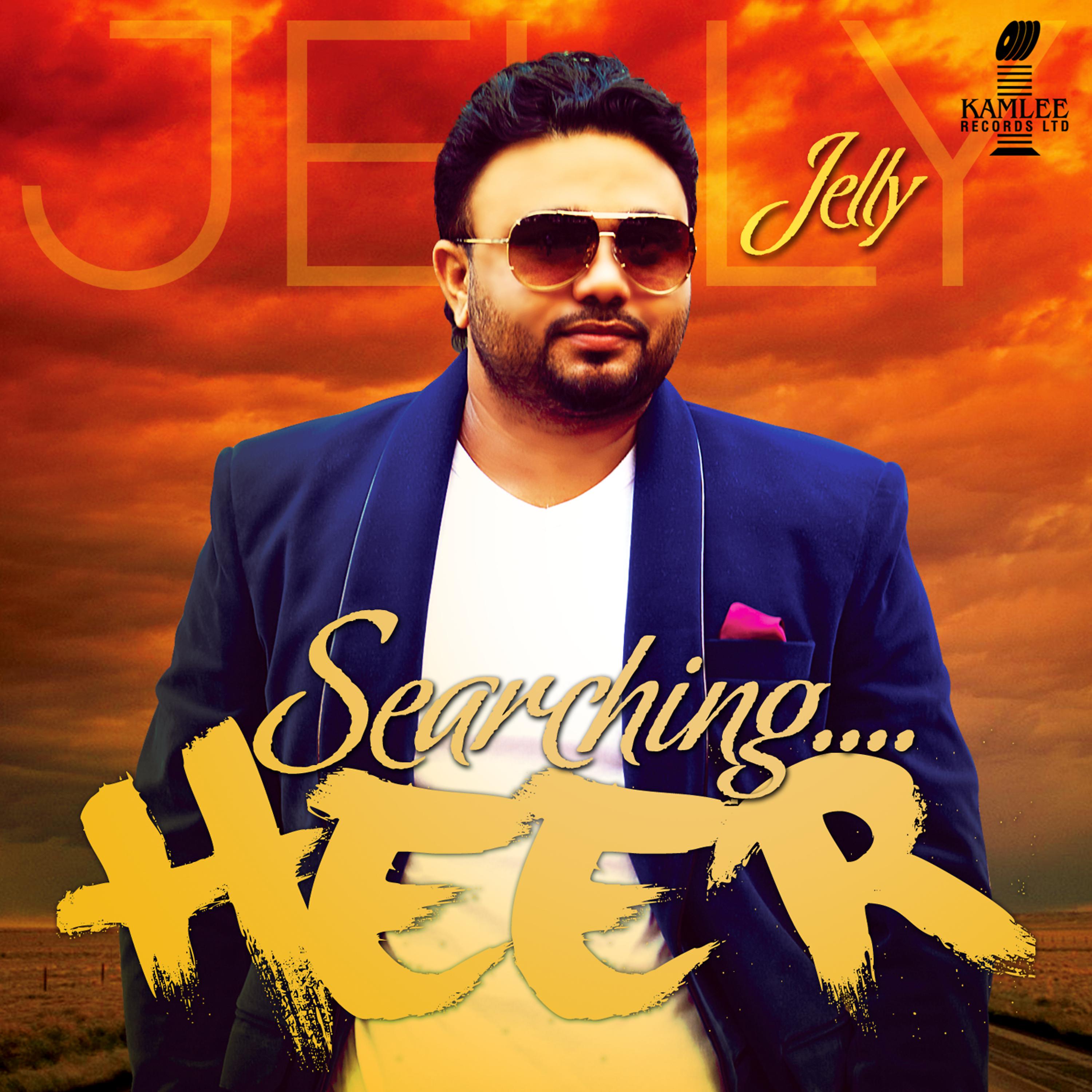 Постер альбома Searching Heer