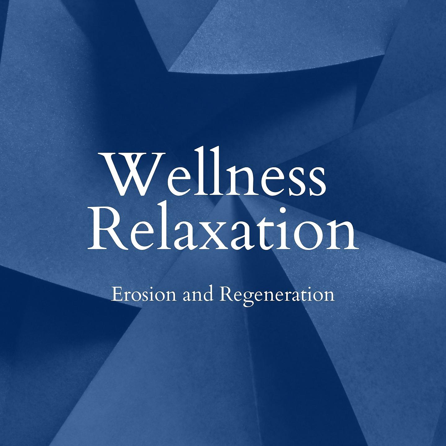 Постер альбома Erosion and Regeneration - Wellness Relaxation