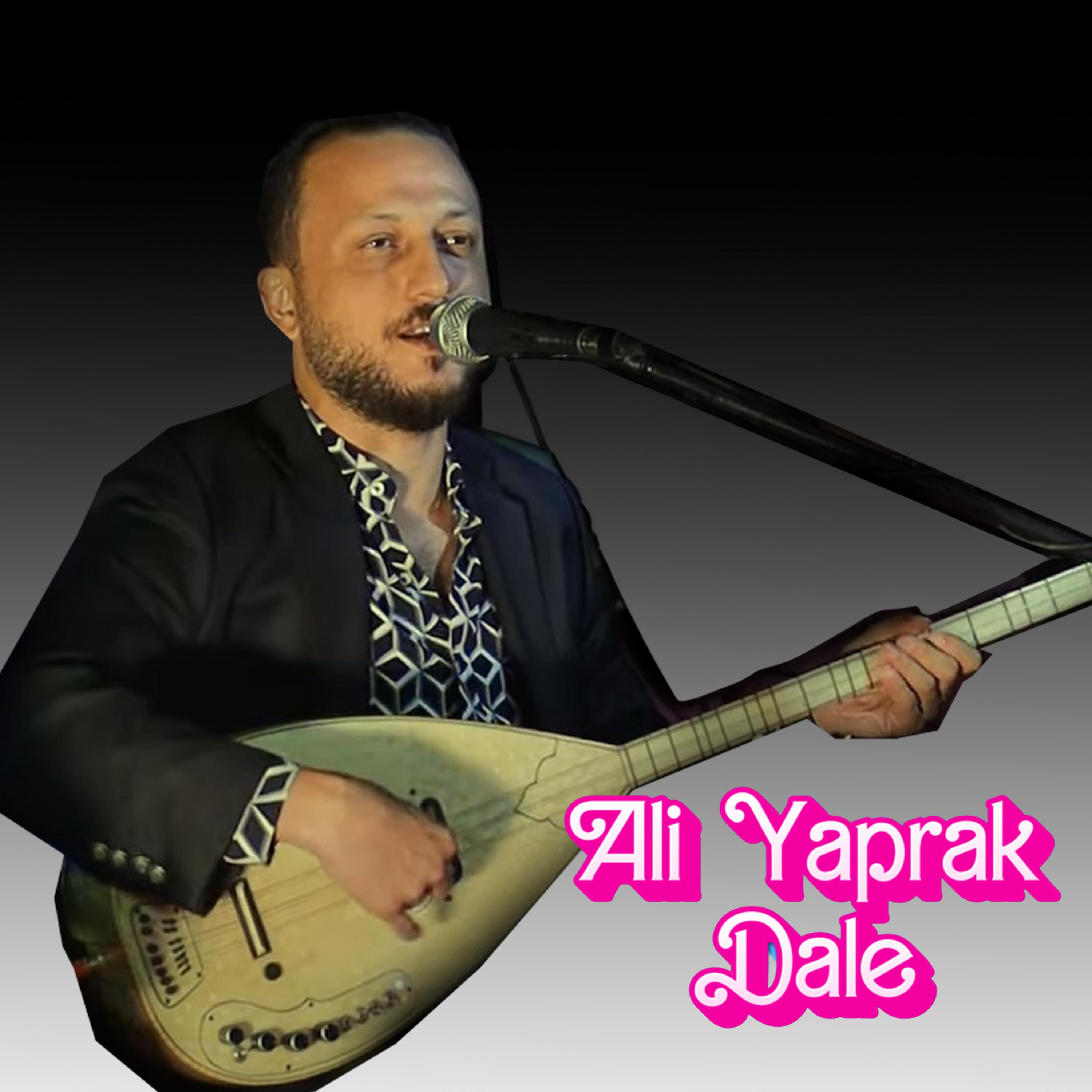 Постер альбома Dale / Gidişiyo