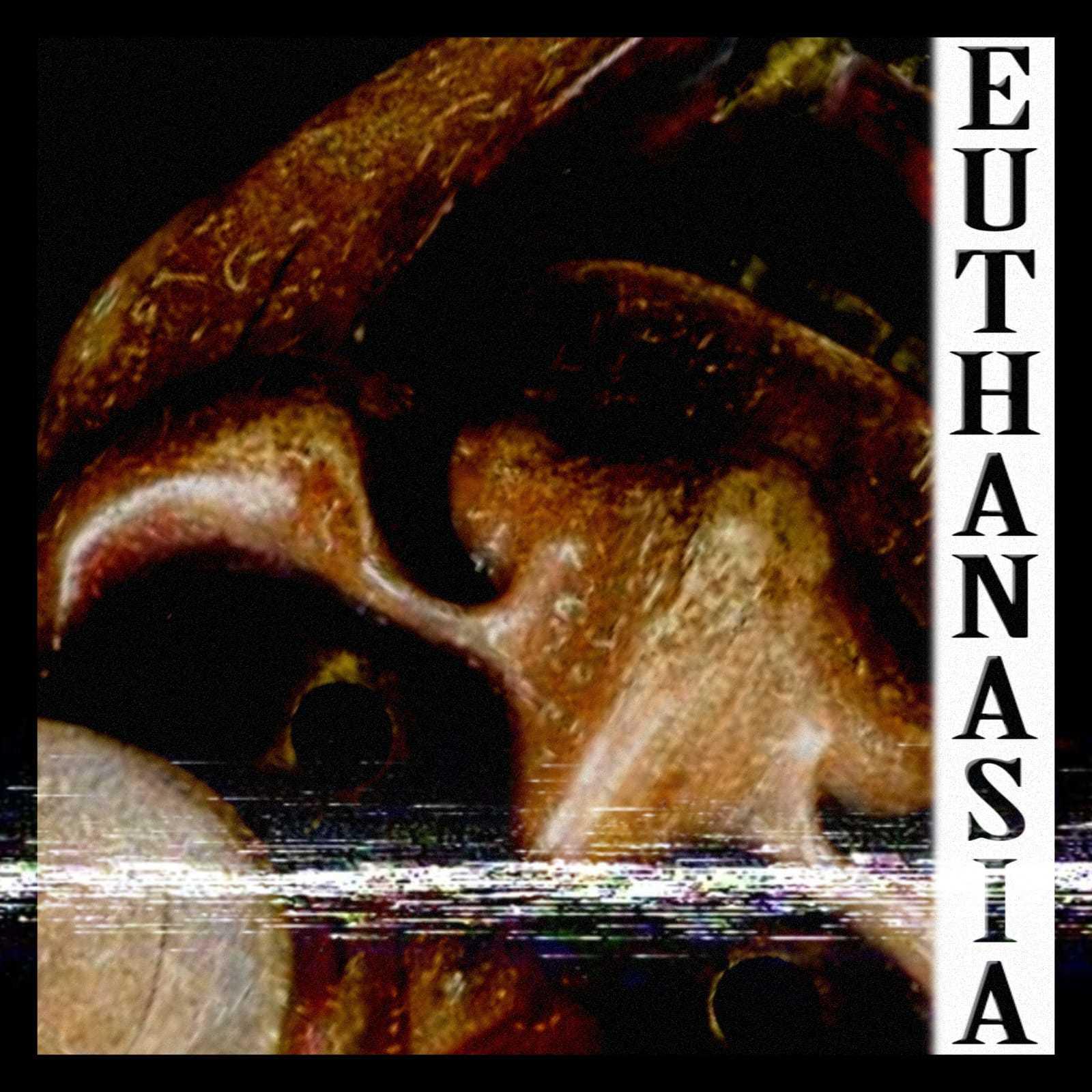 Постер альбома Euthanasia