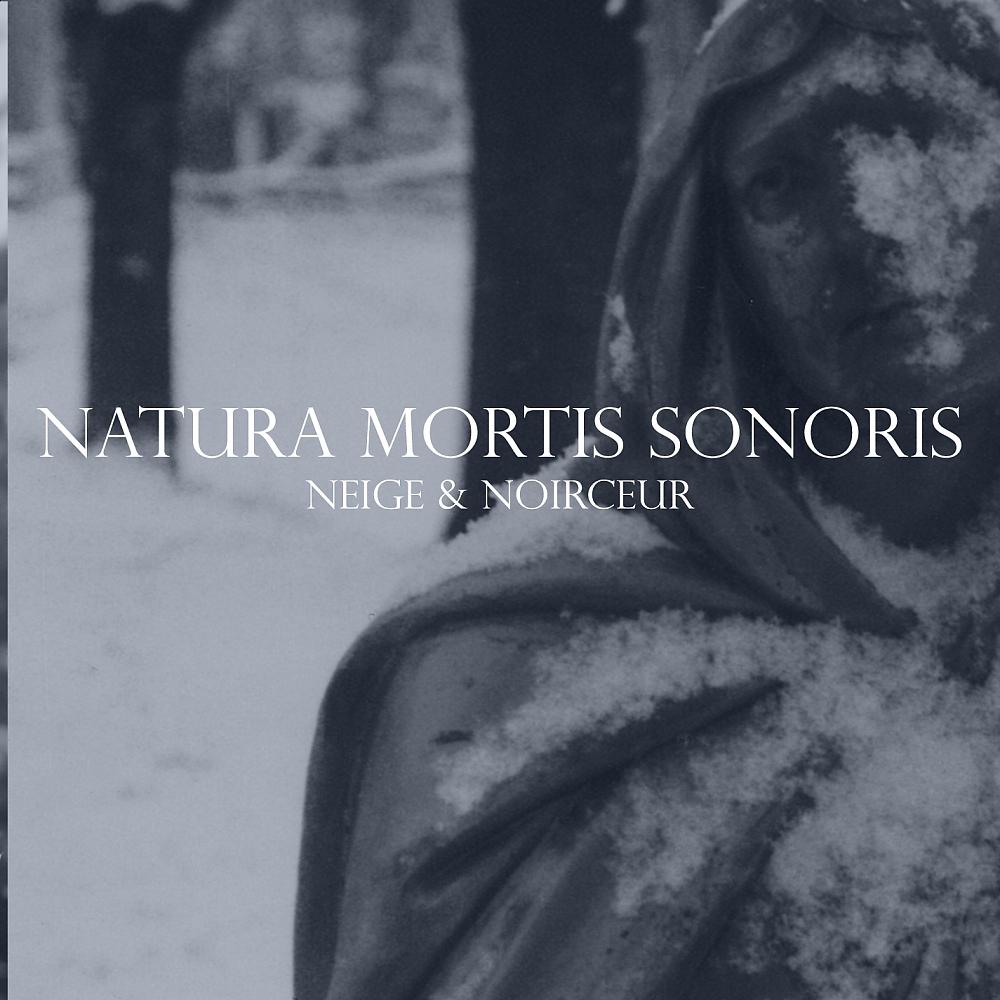 Постер альбома Natura Mortis Sonoris