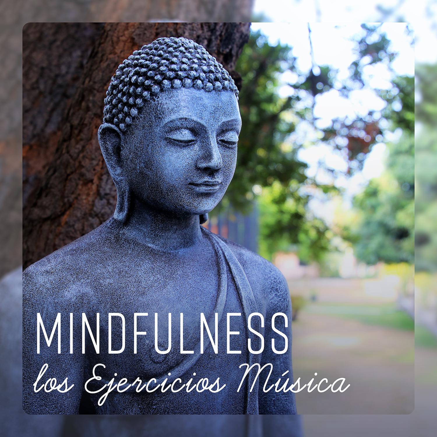 Постер альбома Mindfulness – Los Ejercicios Música - Relajacion para el Cuerpo y la Mente, Meditacion de Buda, Música de Naturaleza Espiritual