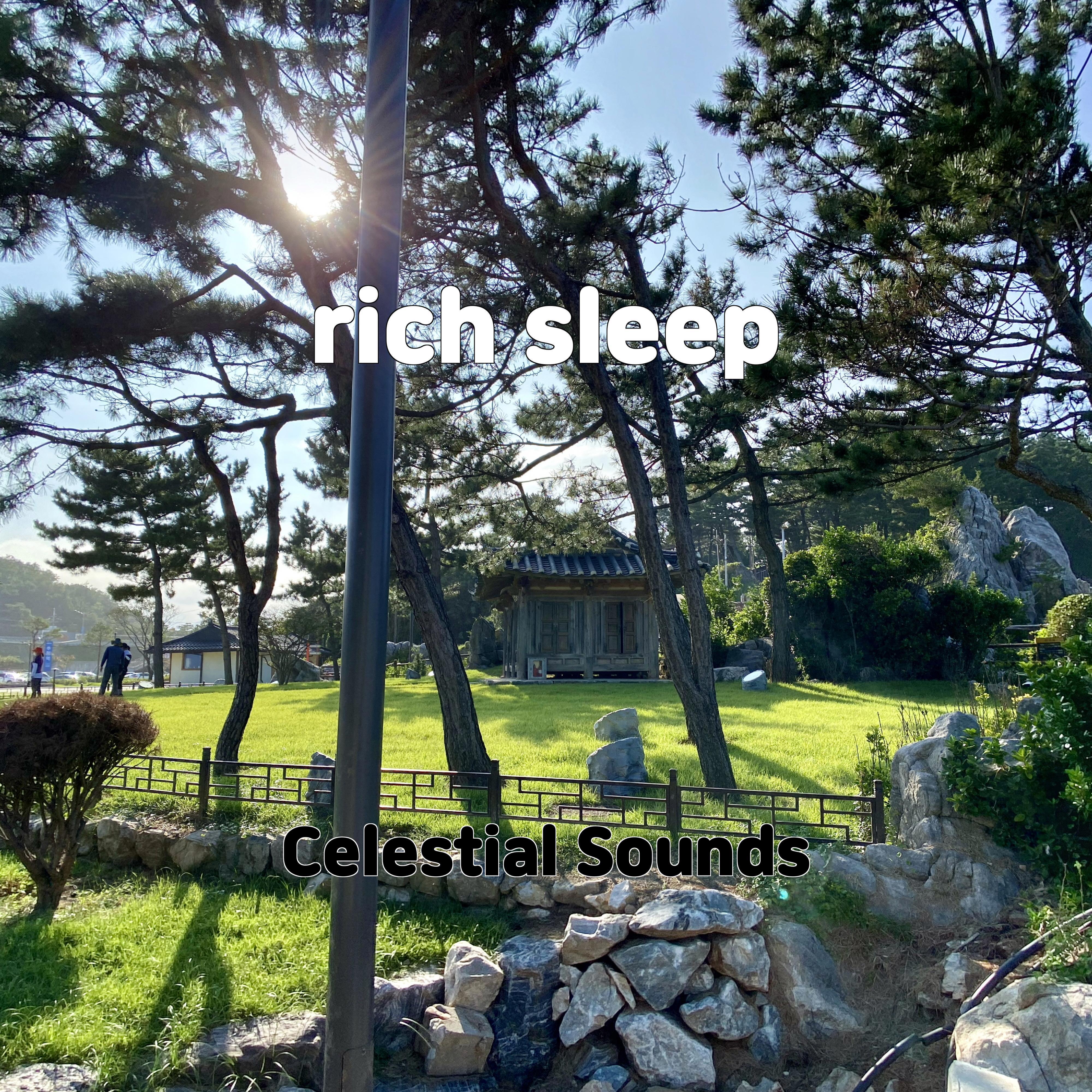 Постер альбома rich sleep