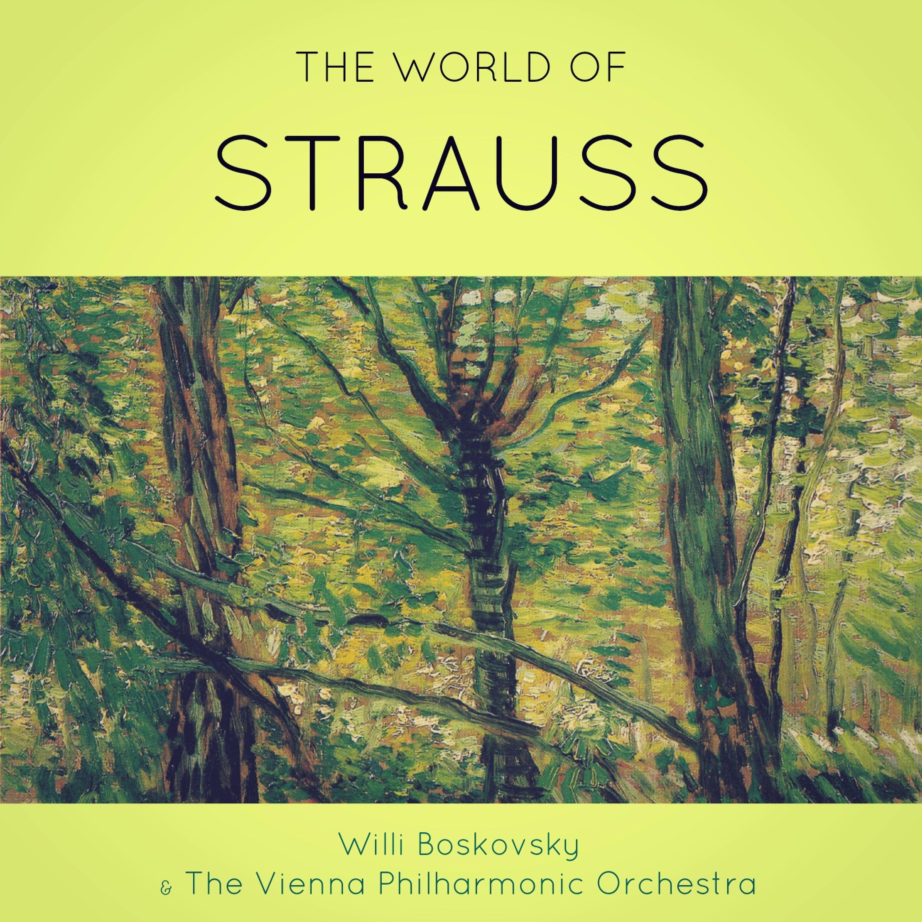 Постер альбома The World of Strauss