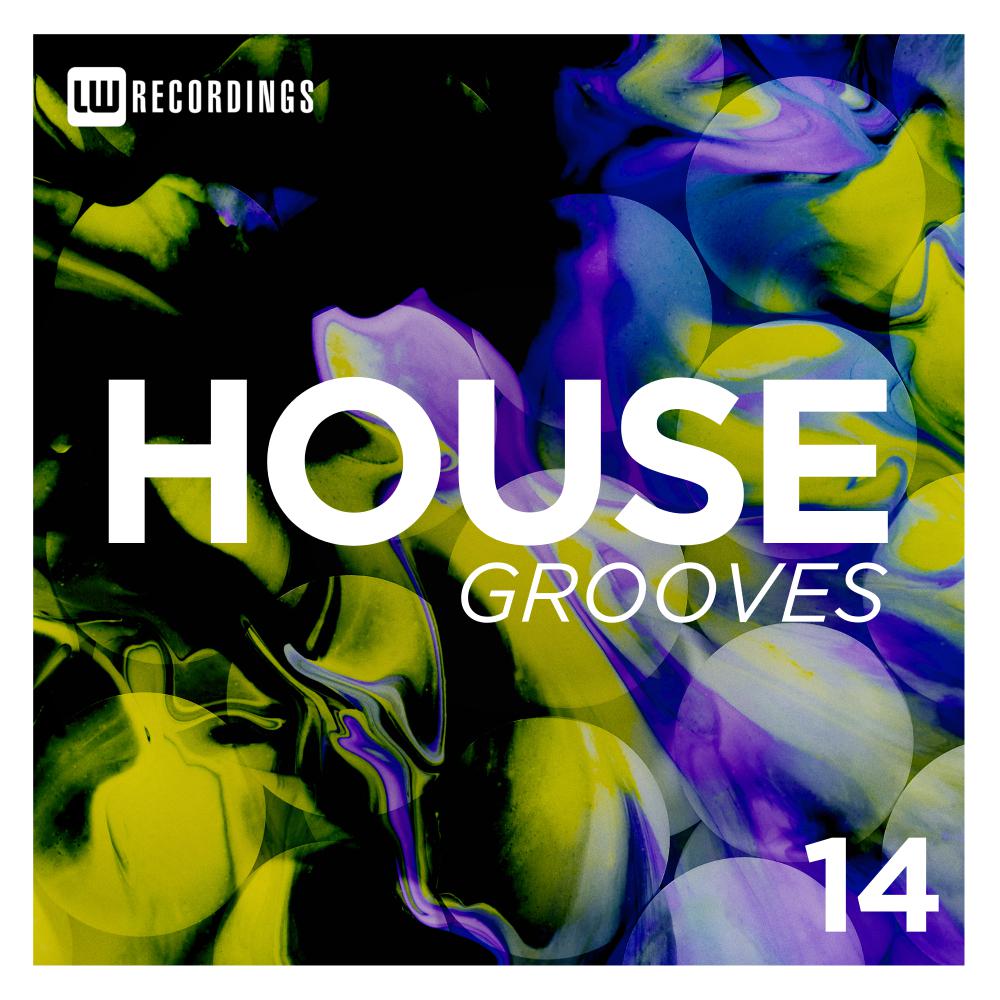 Постер альбома House Grooves, Vol. 14