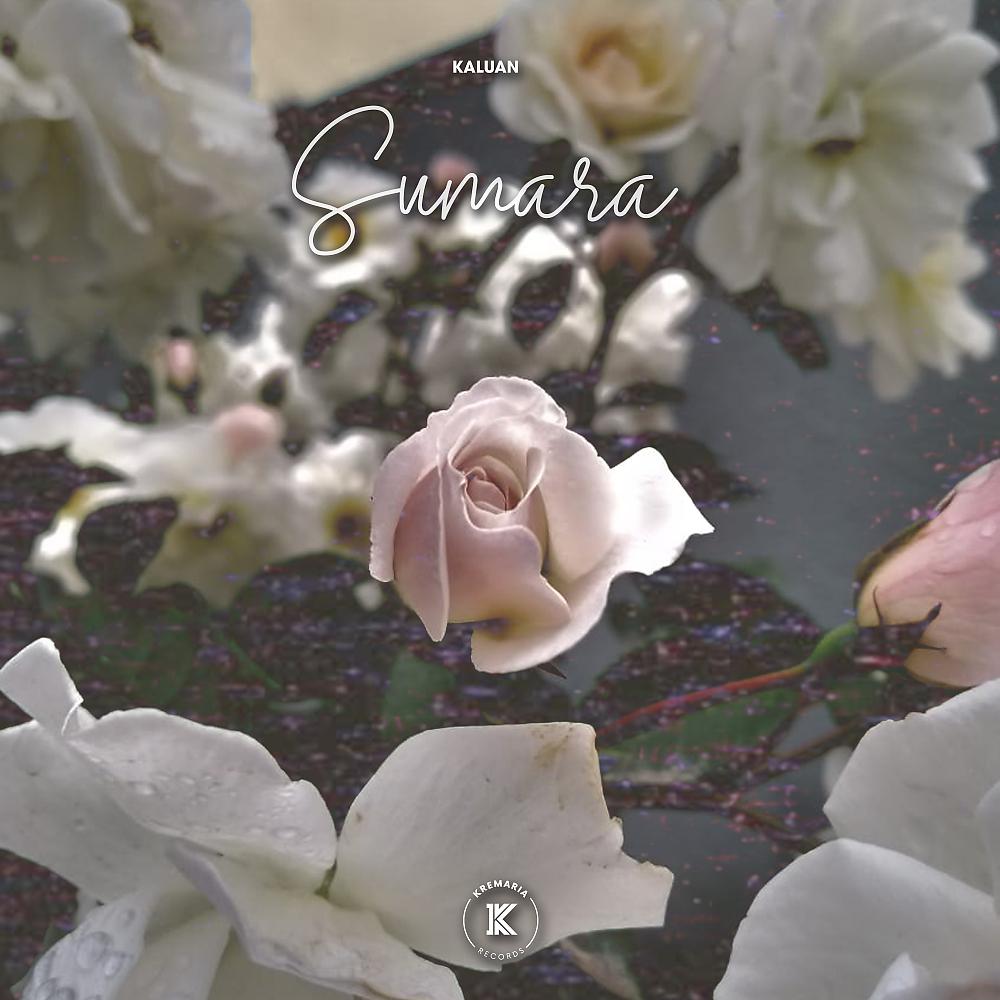 Постер альбома Sumara