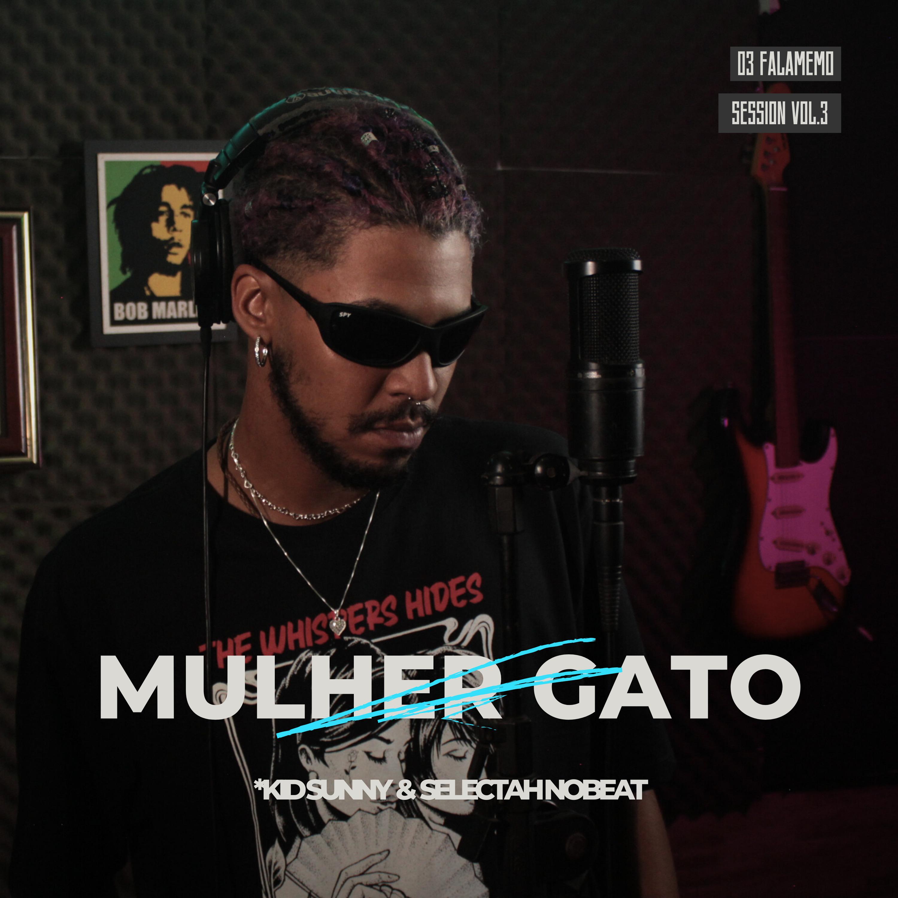 Постер альбома Mulher Gato Falamemo Session, Vol. 3