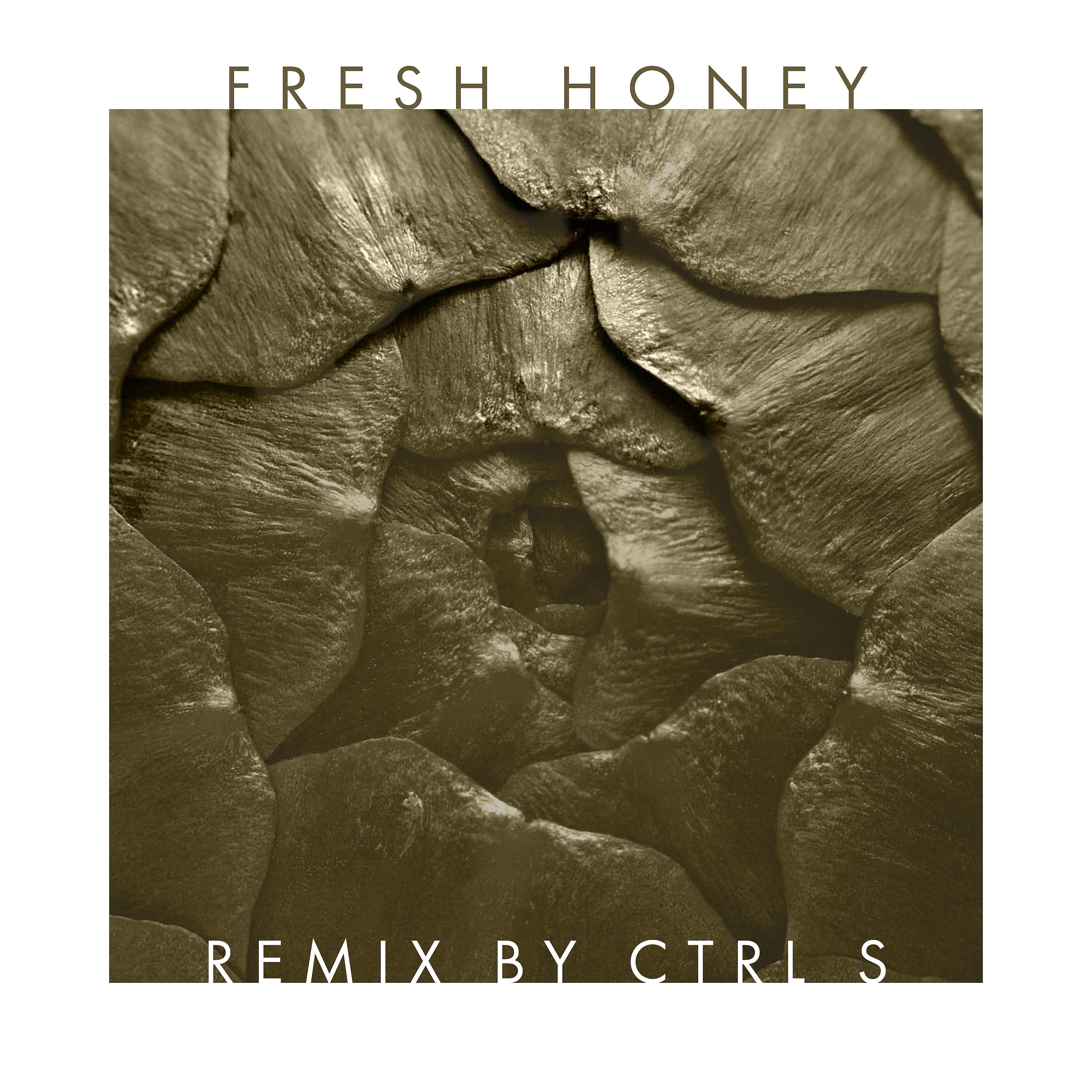Постер альбома Fresh Honey Remix