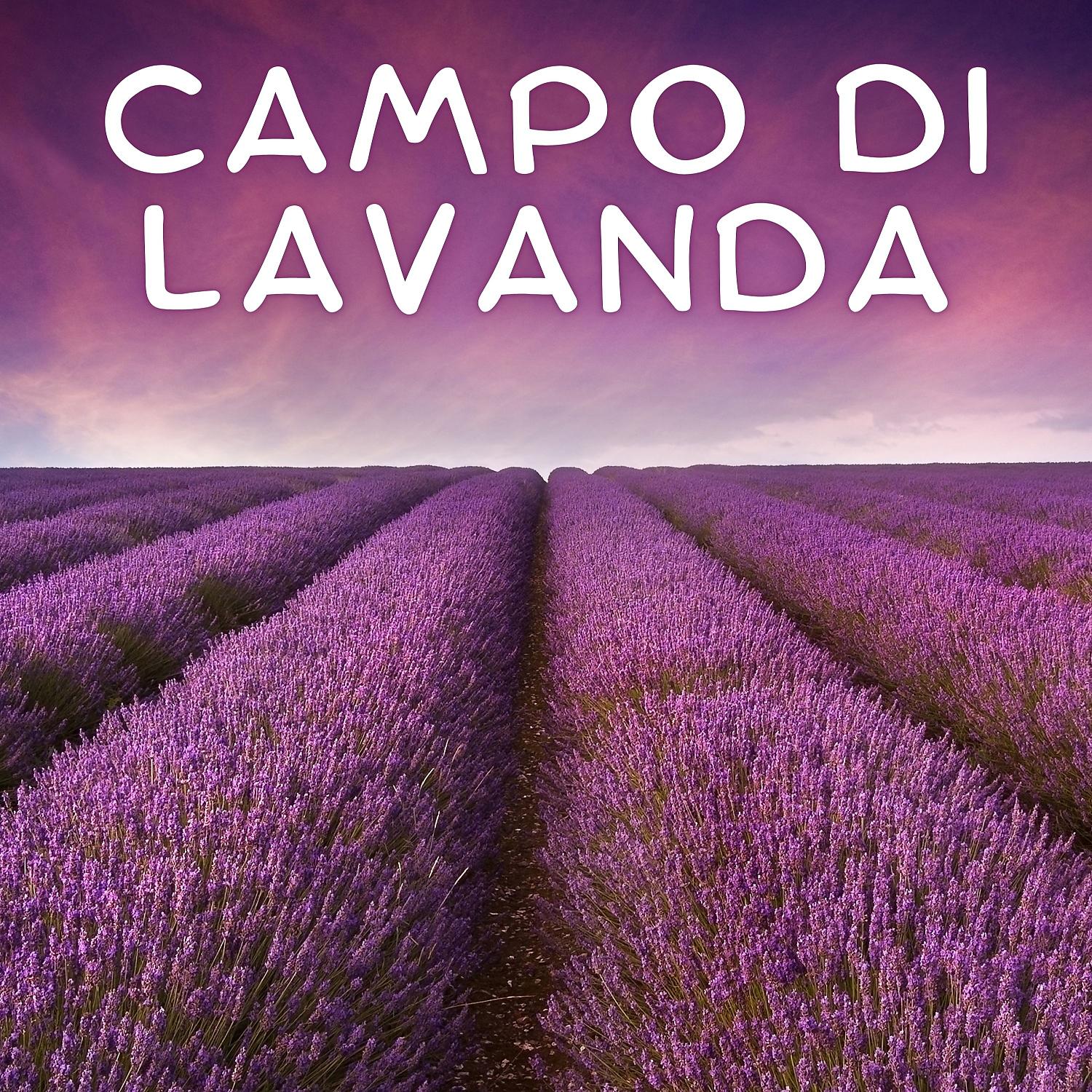 Постер альбома Campo Di Lavanda