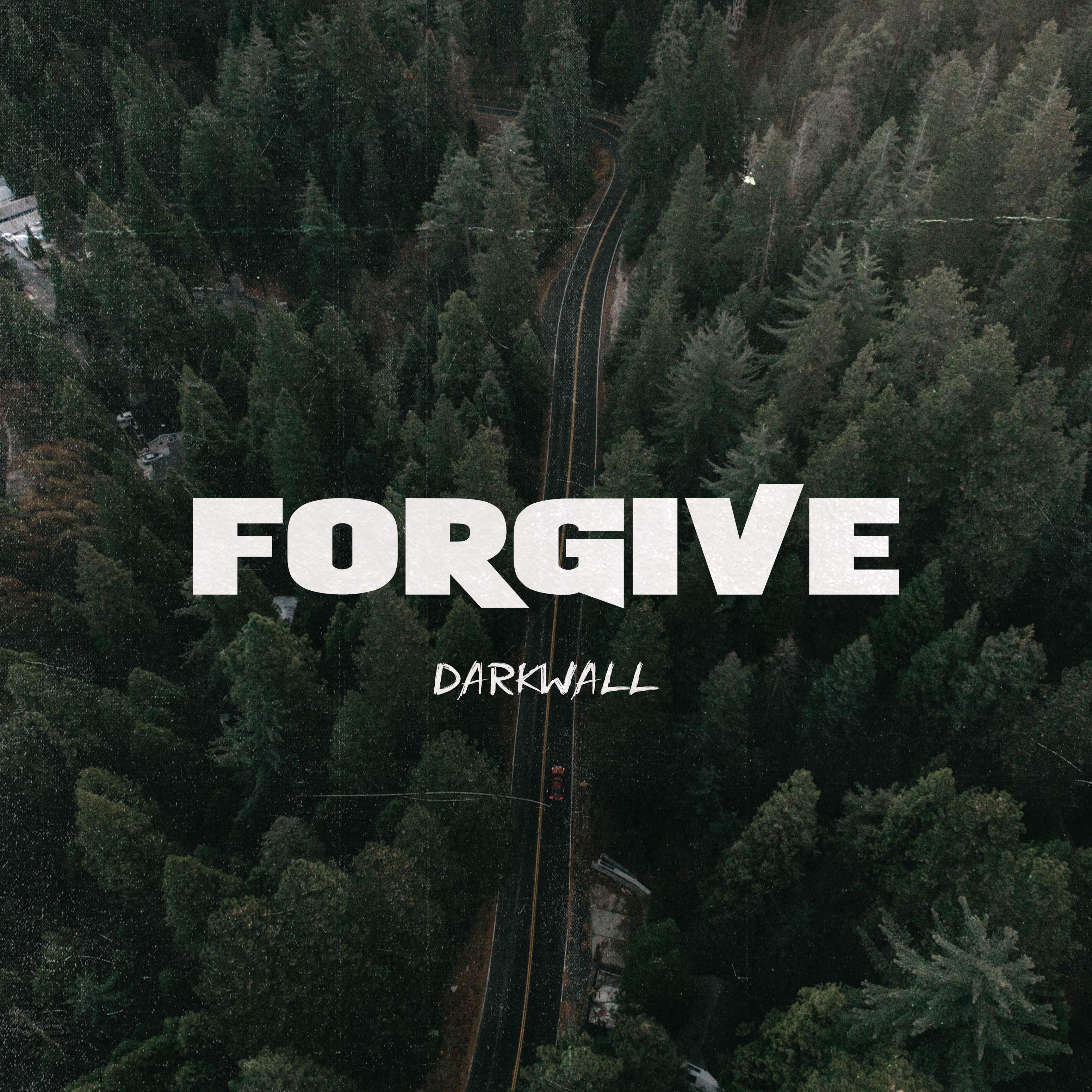 Постер альбома Forgive