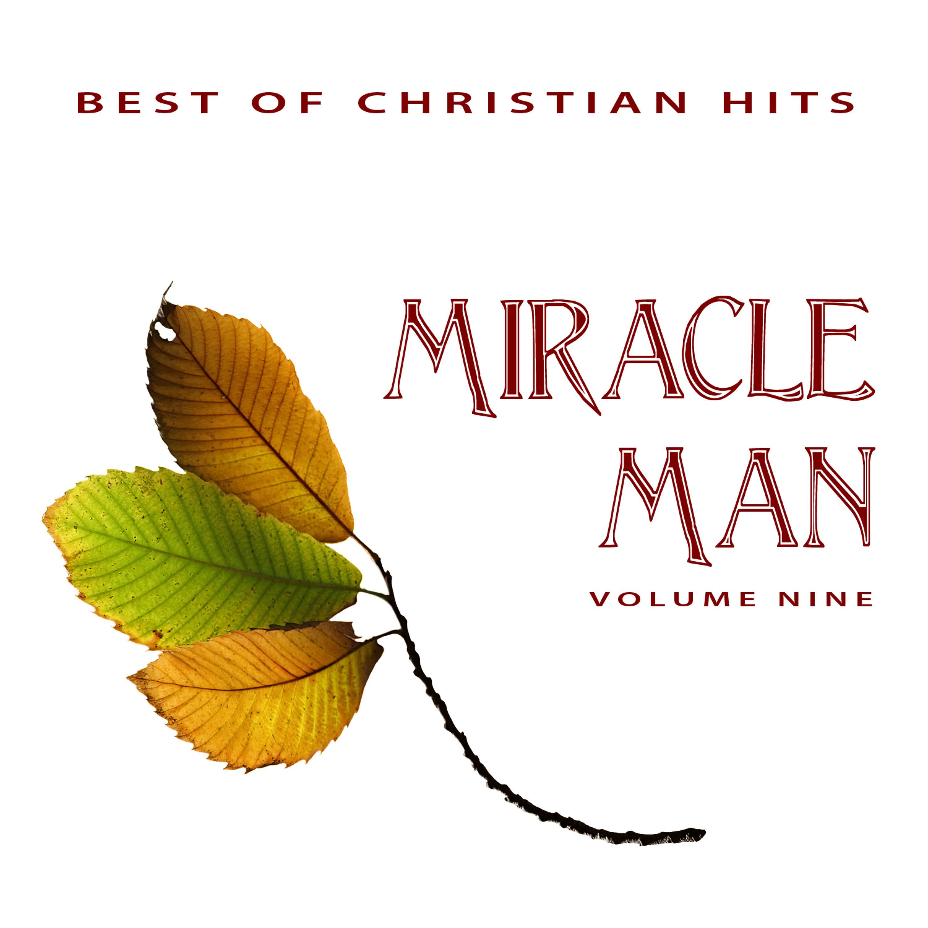 Постер альбома Best of Christian Hits: Miracle Man, Vol. 9