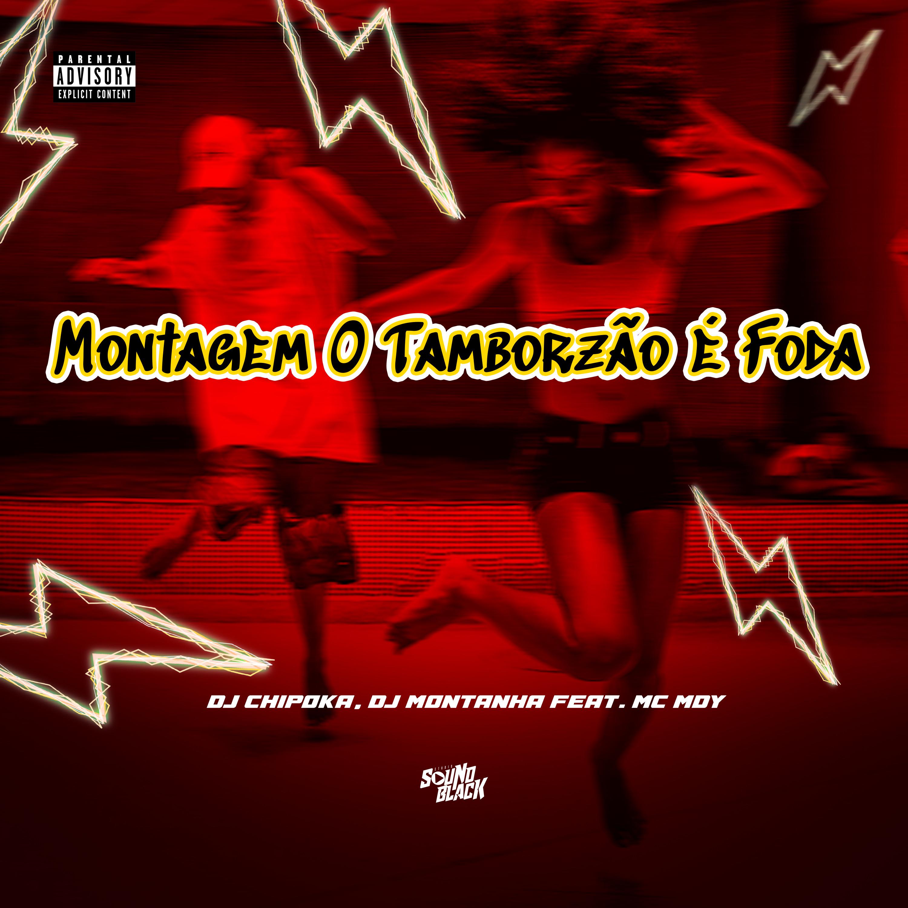 Постер альбома Montagem o Tamborzão É Foda