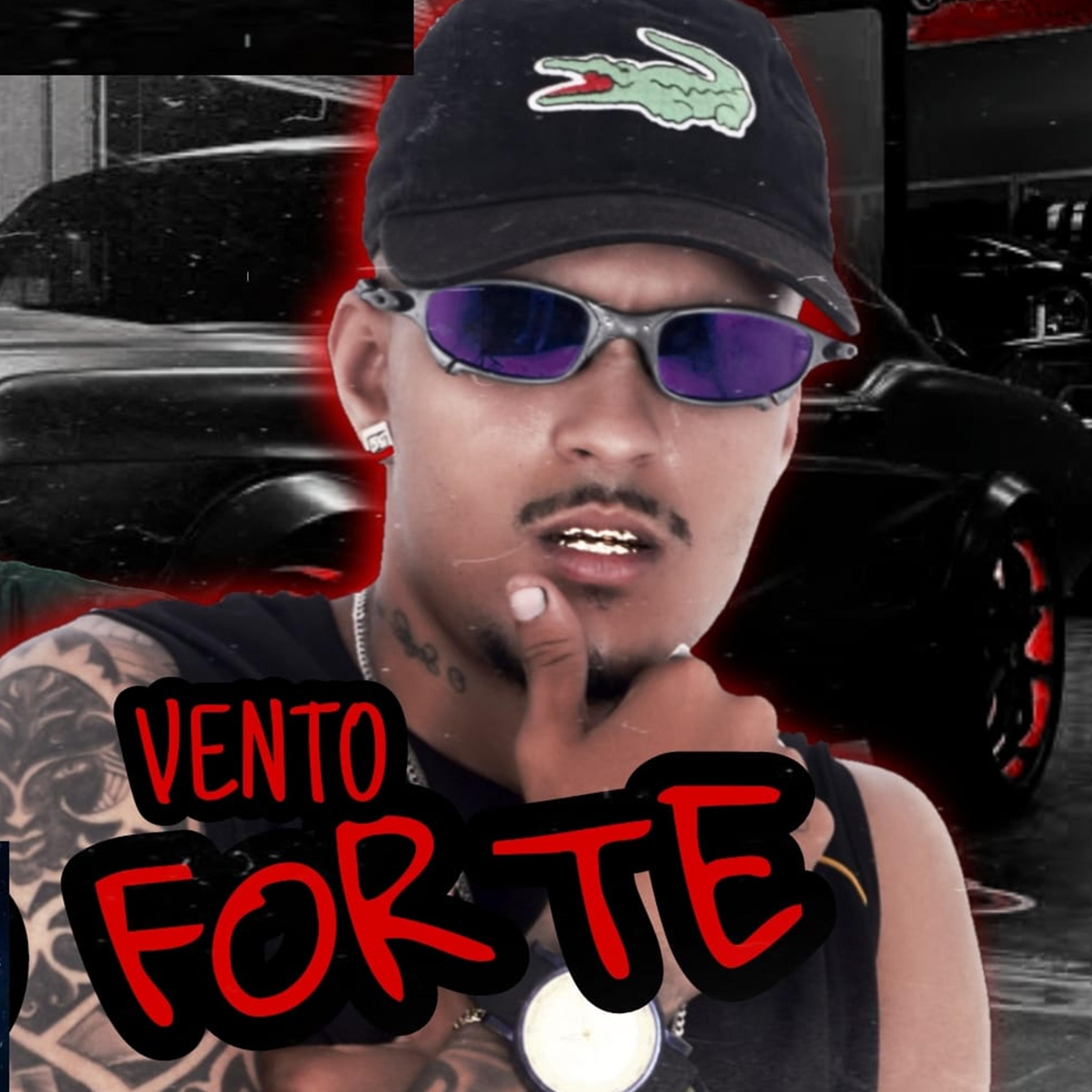 Постер альбома Vento Forte