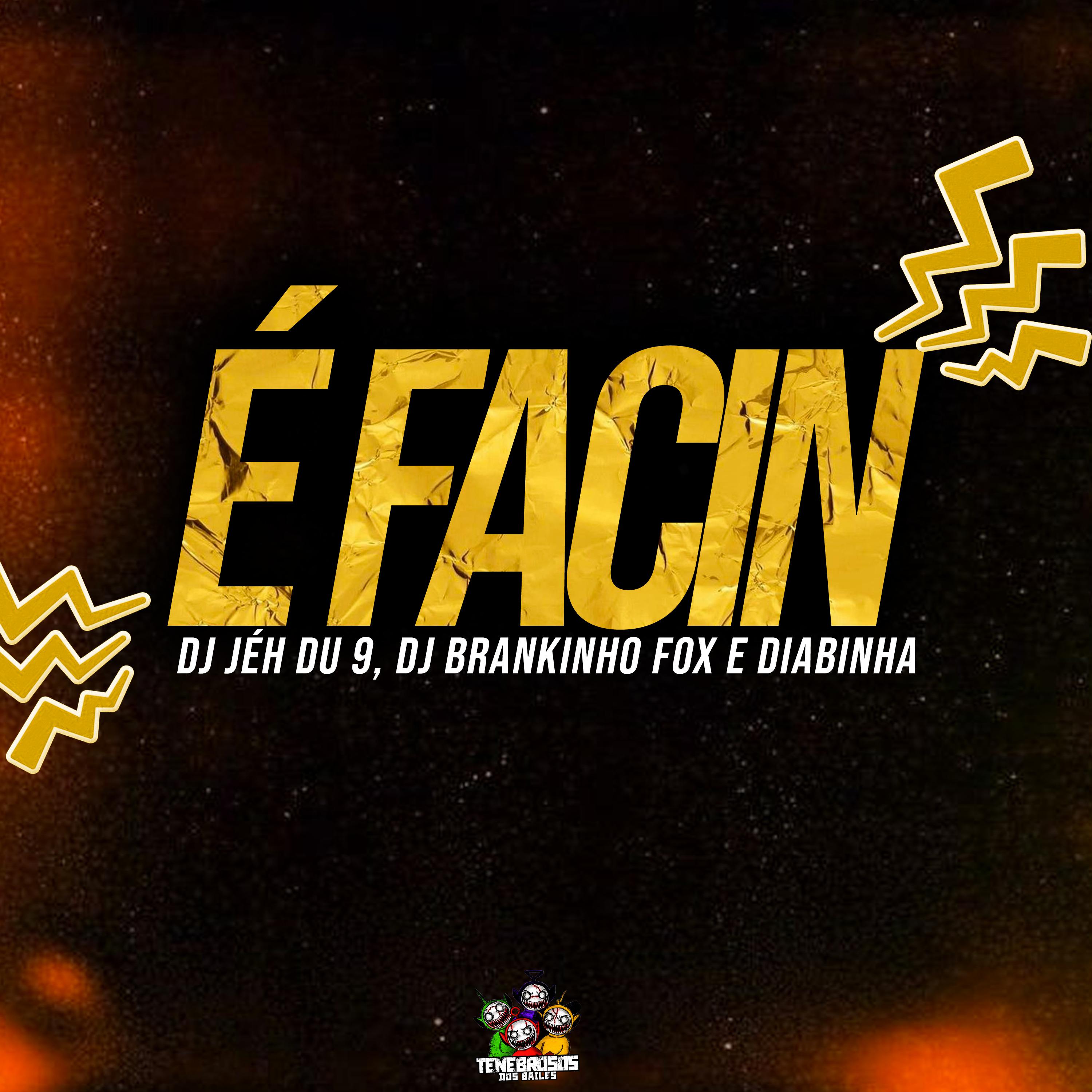 Постер альбома É Facin