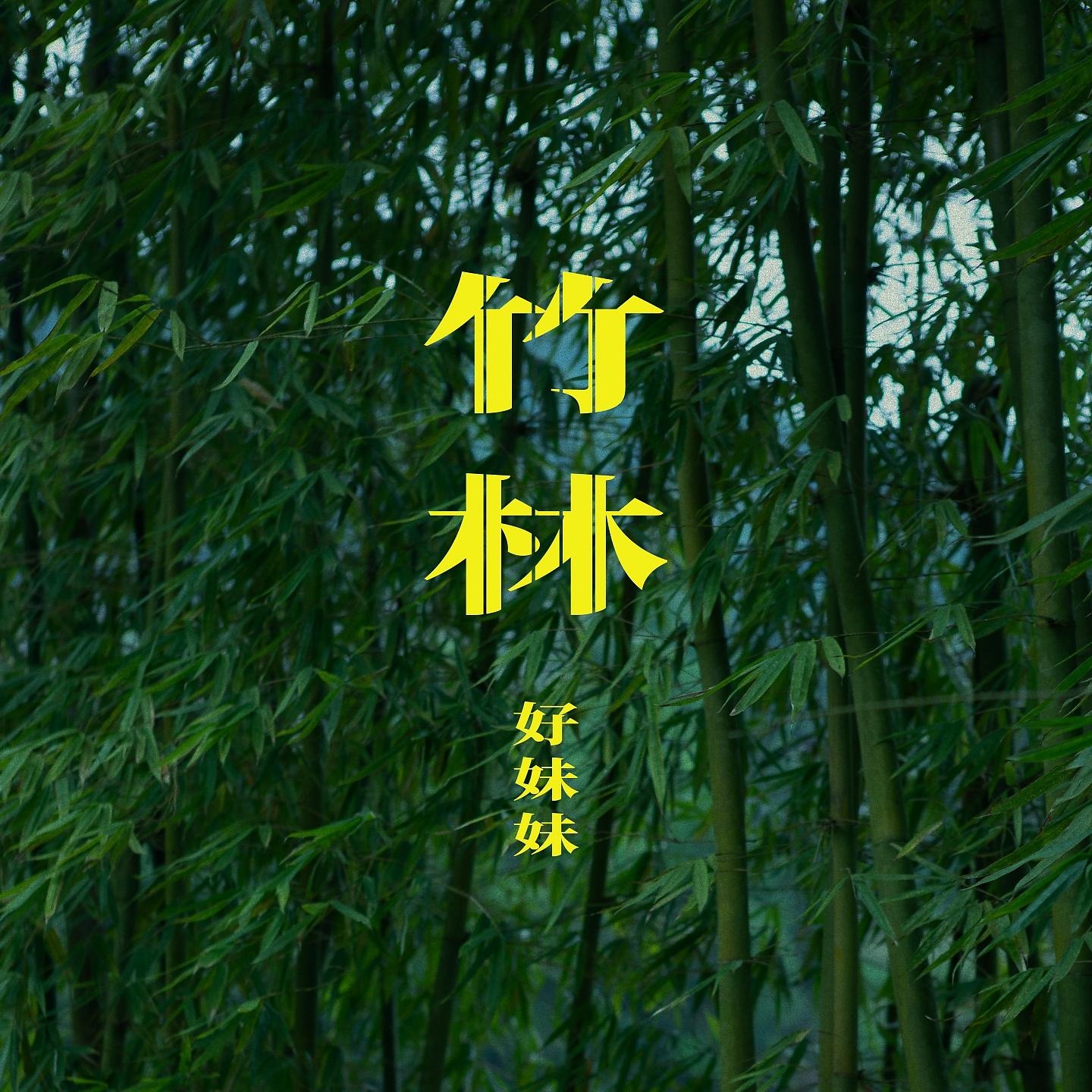 Постер альбома 竹林