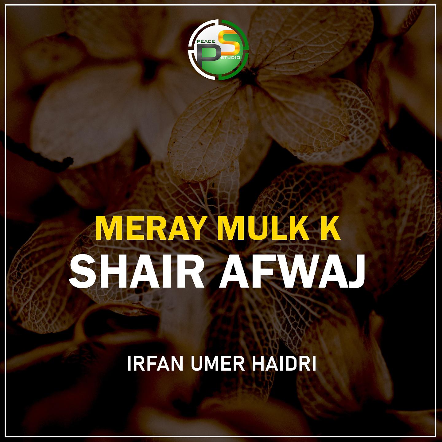 Постер альбома Meray Mulk K Shair Afwaj